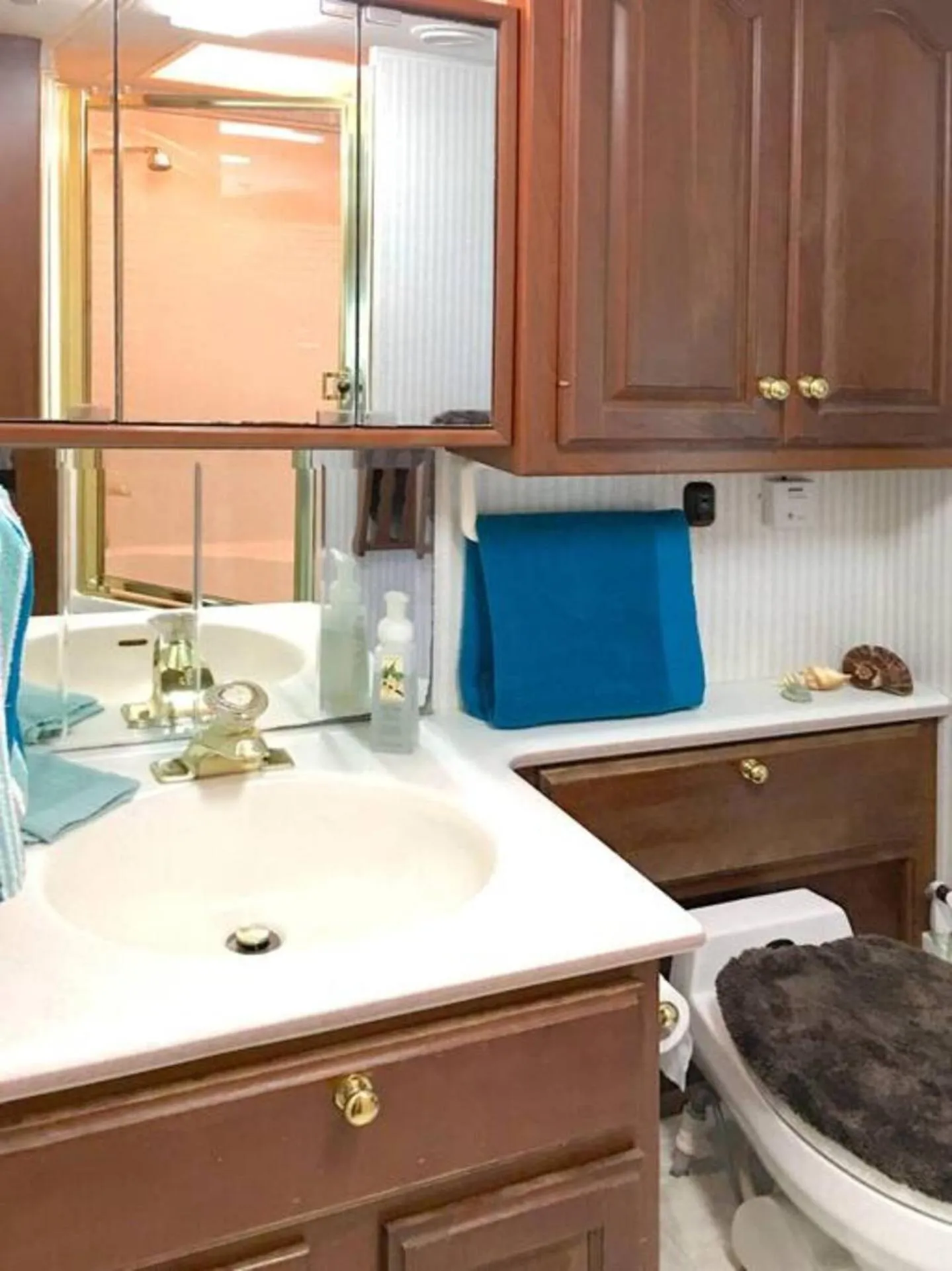 The Great Escape - Shirley