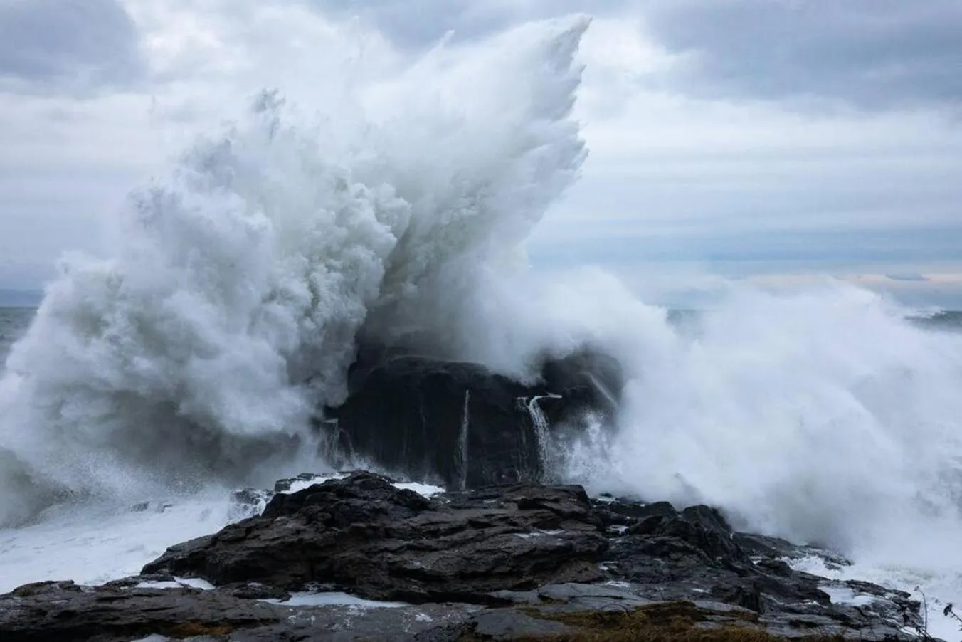 The Great Escape - Shirley