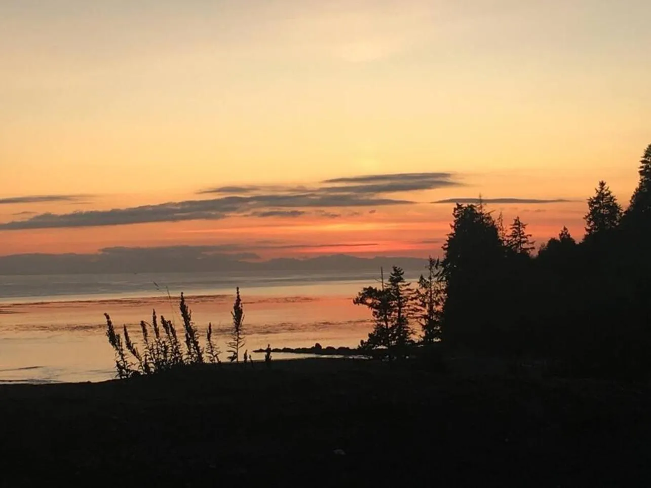 The Great Escape - Shirley