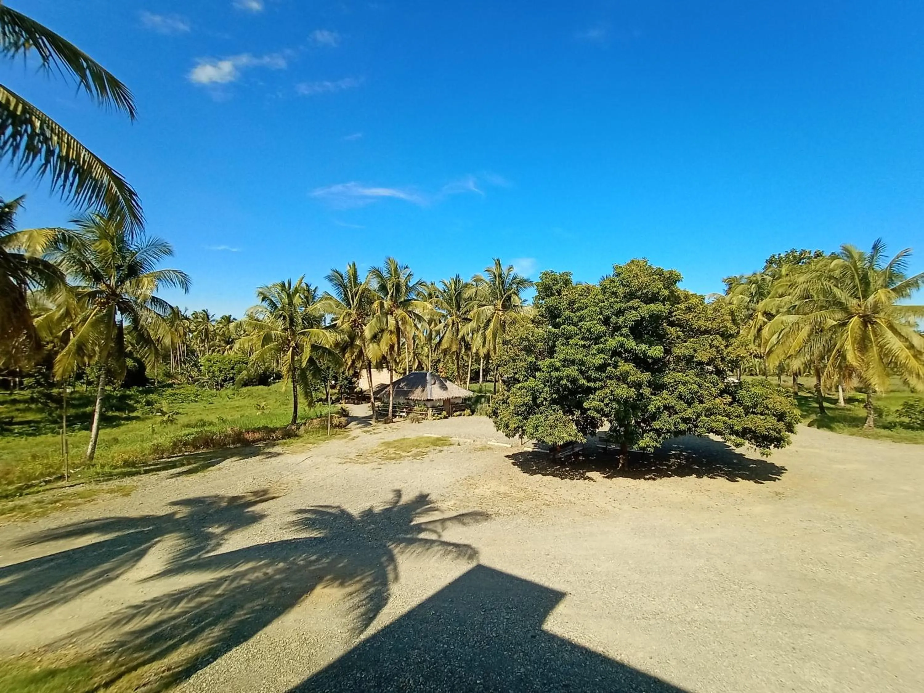 Garden in San Pedro Country Farm Resort and Event Center Inc