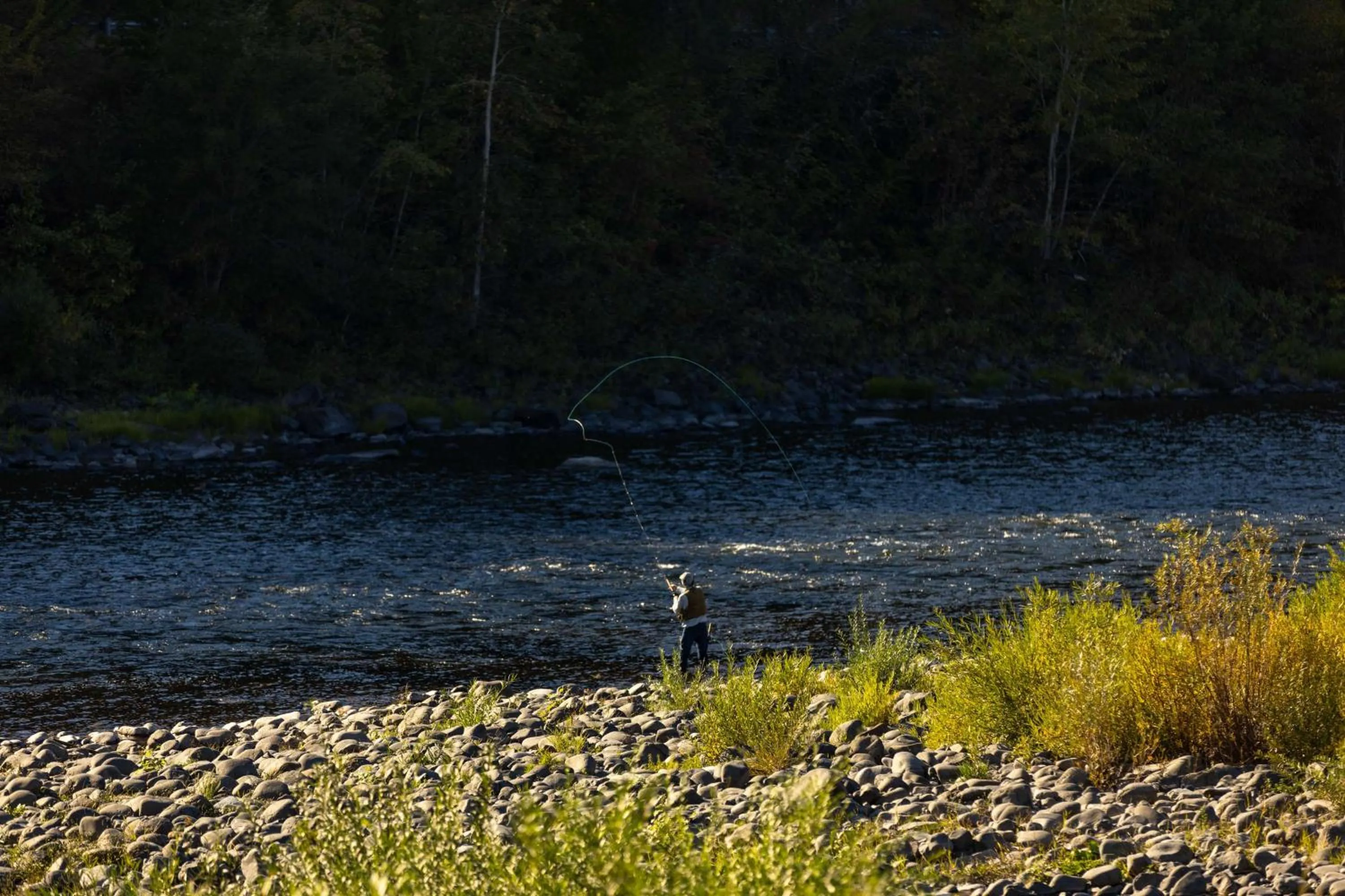 Property building in Best Western Lodge at River's Edge