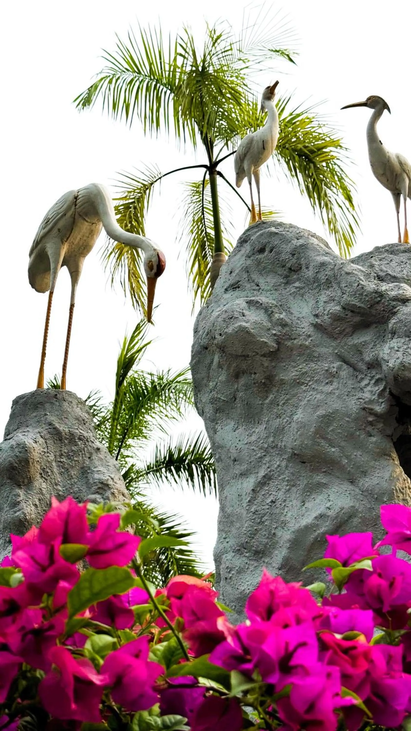 Natural landscape in Hotel Green Park