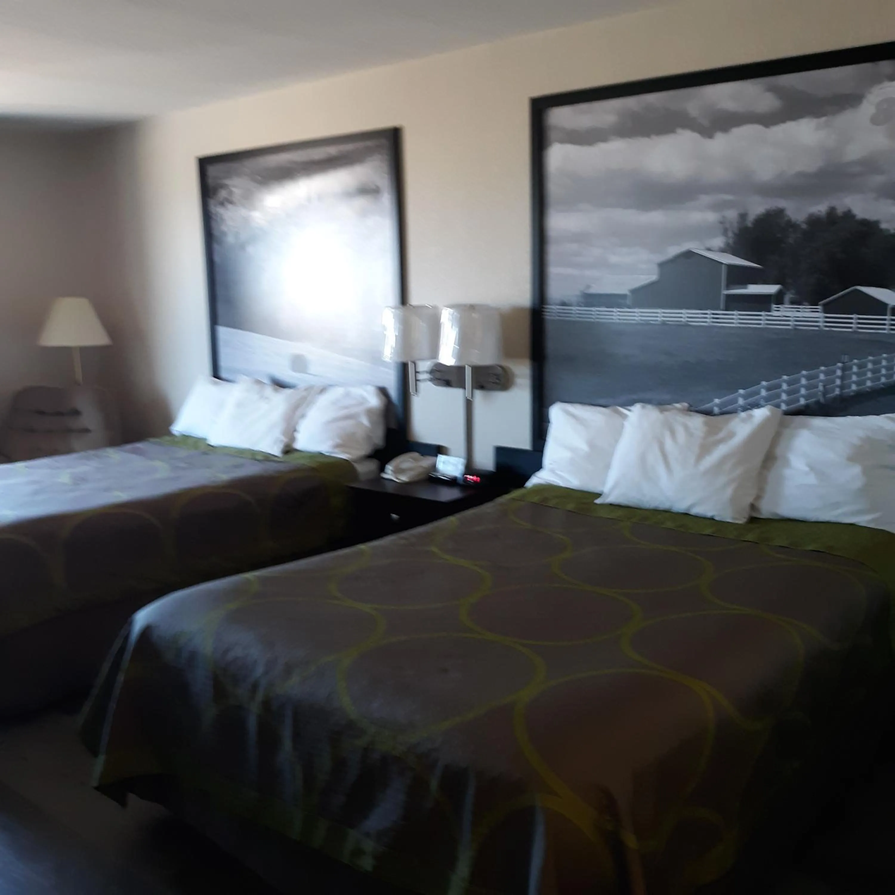 Bedroom, Bed in Super 8 by Wyndham Bethany MO