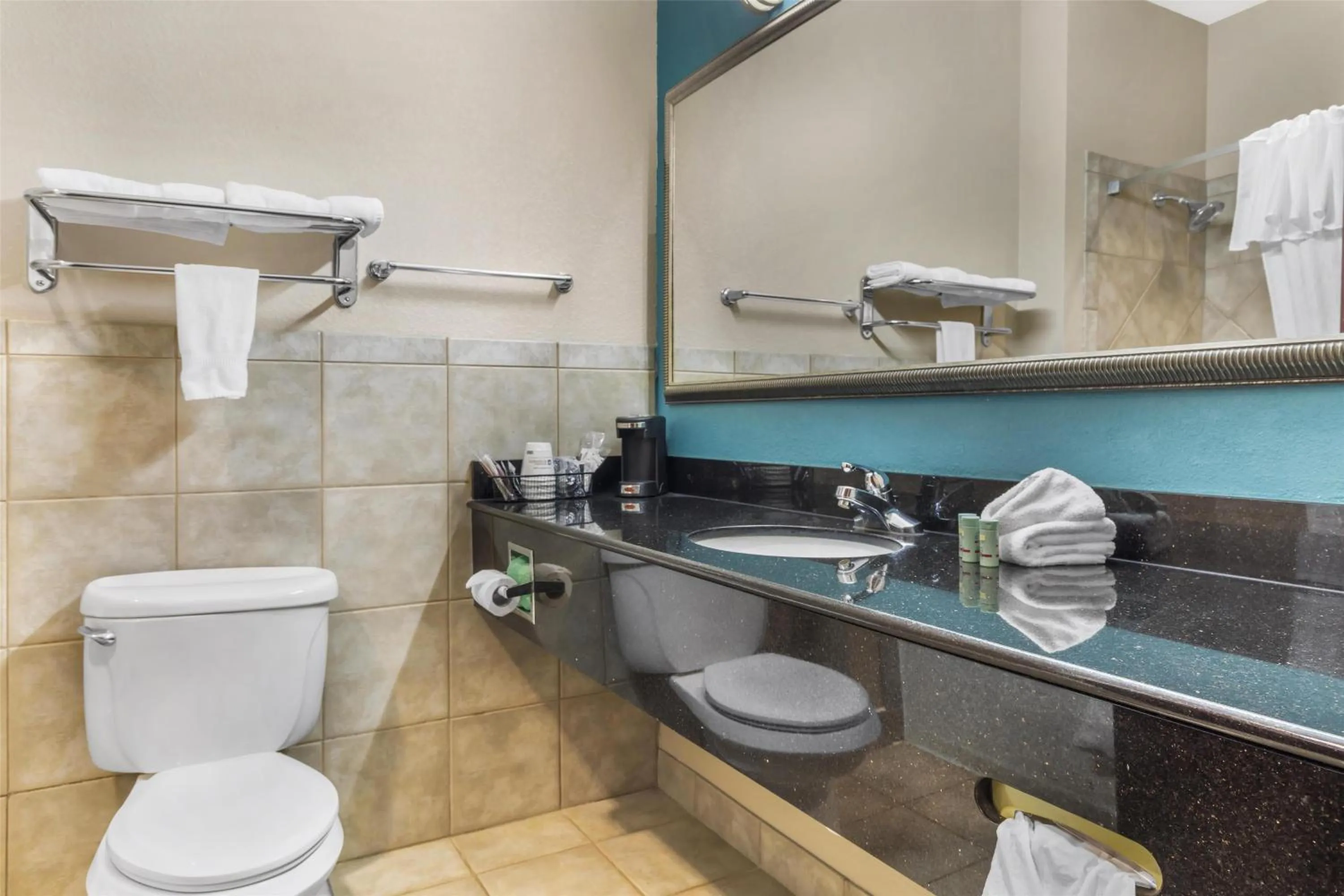 Bathroom in Best Western Mineola Inn