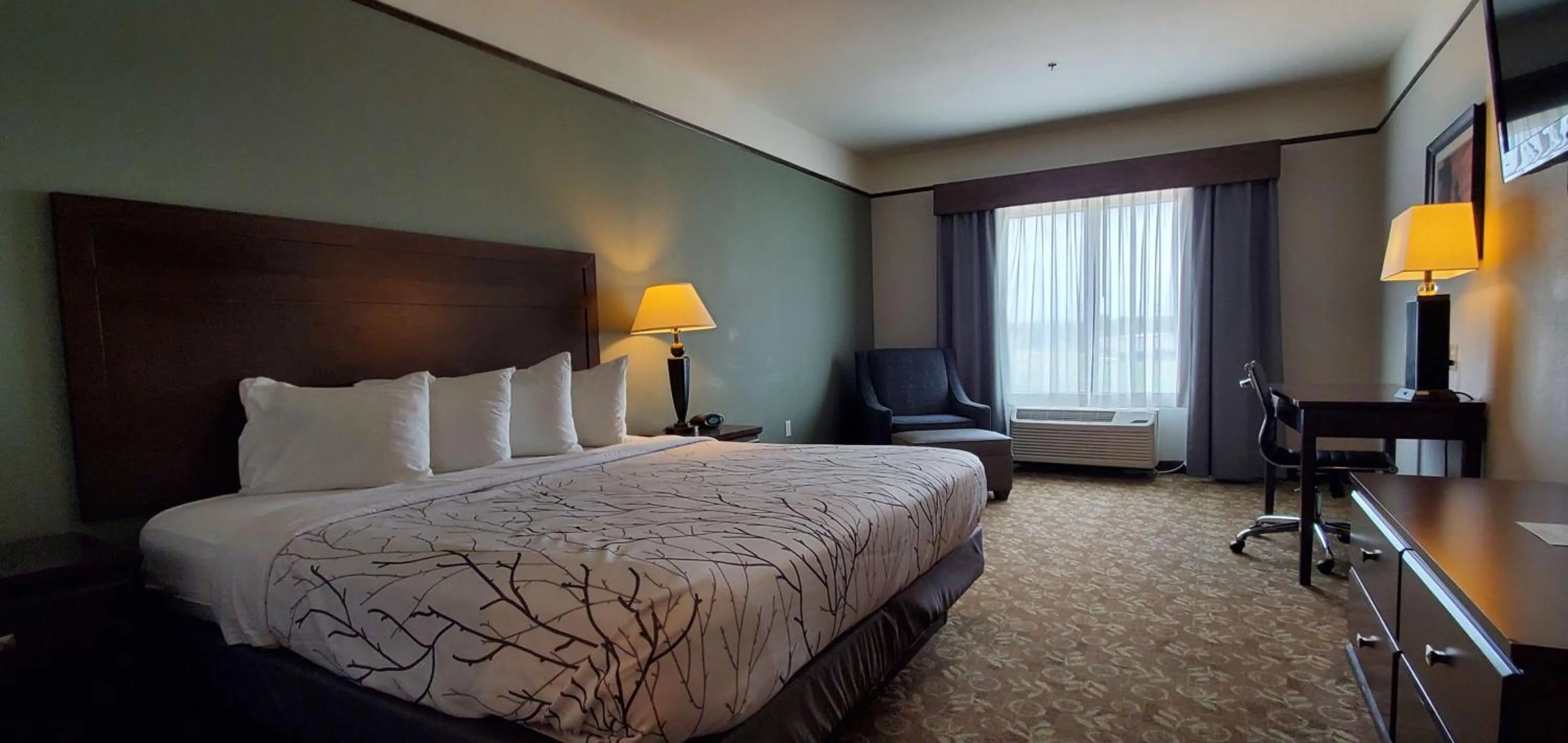 Photo of the whole room, Bed in Best Western Plus Emory at Lake Fork Inn & Suites