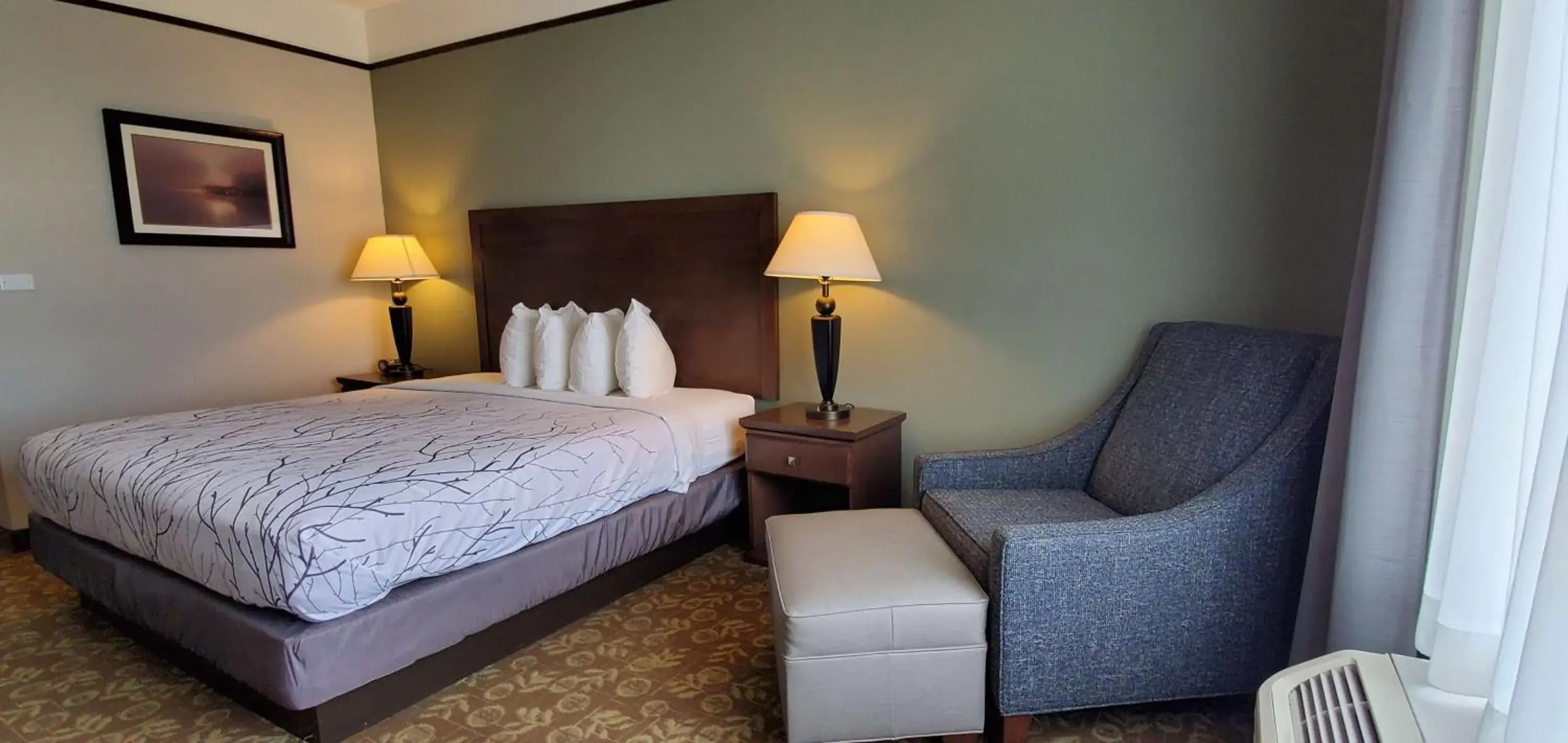 Photo of the whole room, Bed in Best Western Plus Emory at Lake Fork Inn & Suites Photo of the whole room, Bed in Best Western Plus Emory at Lake Fork Inn & Suites