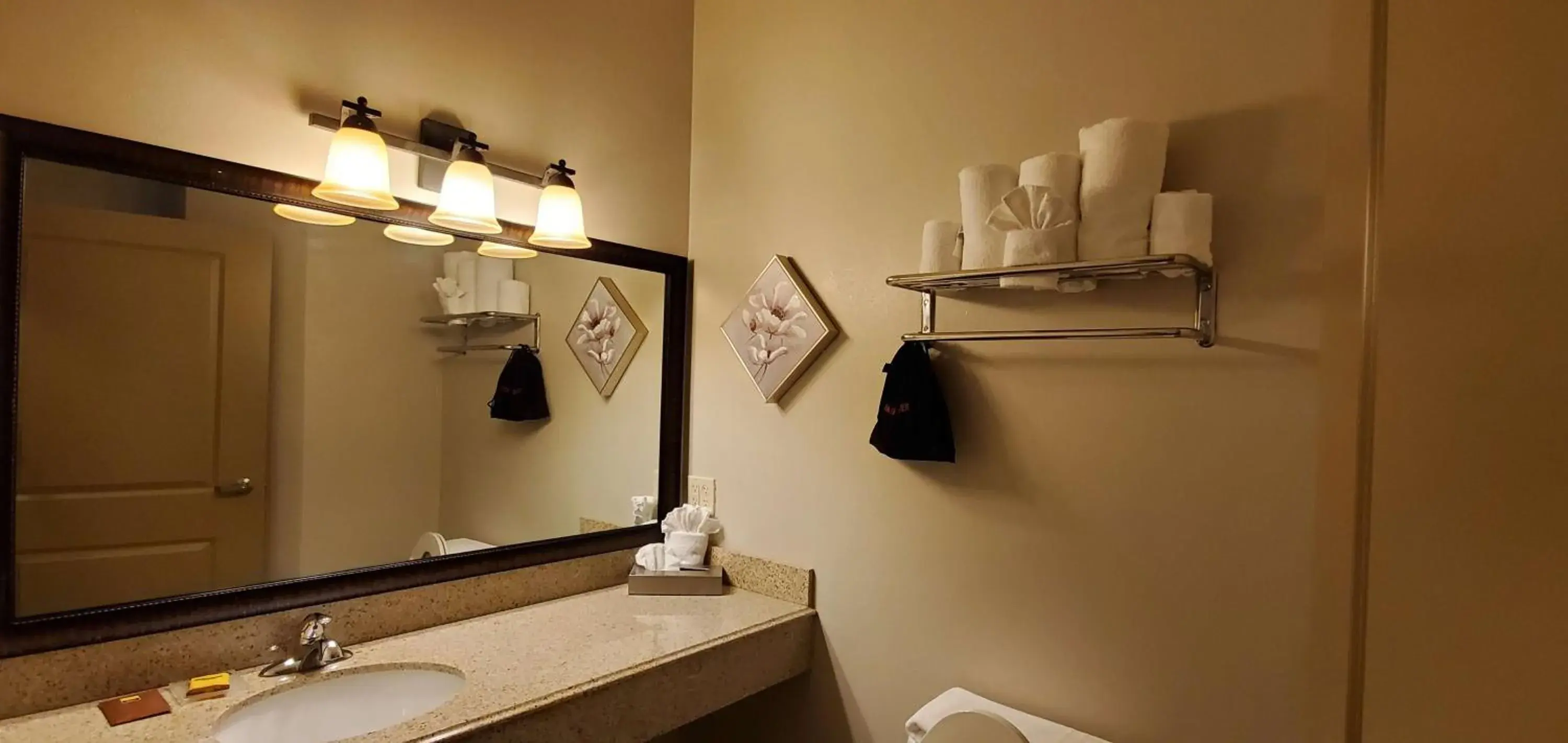 Bathroom in Best Western Plus Emory at Lake Fork Inn & Suites Bathroom in Best Western Plus Emory at Lake Fork Inn & Suites