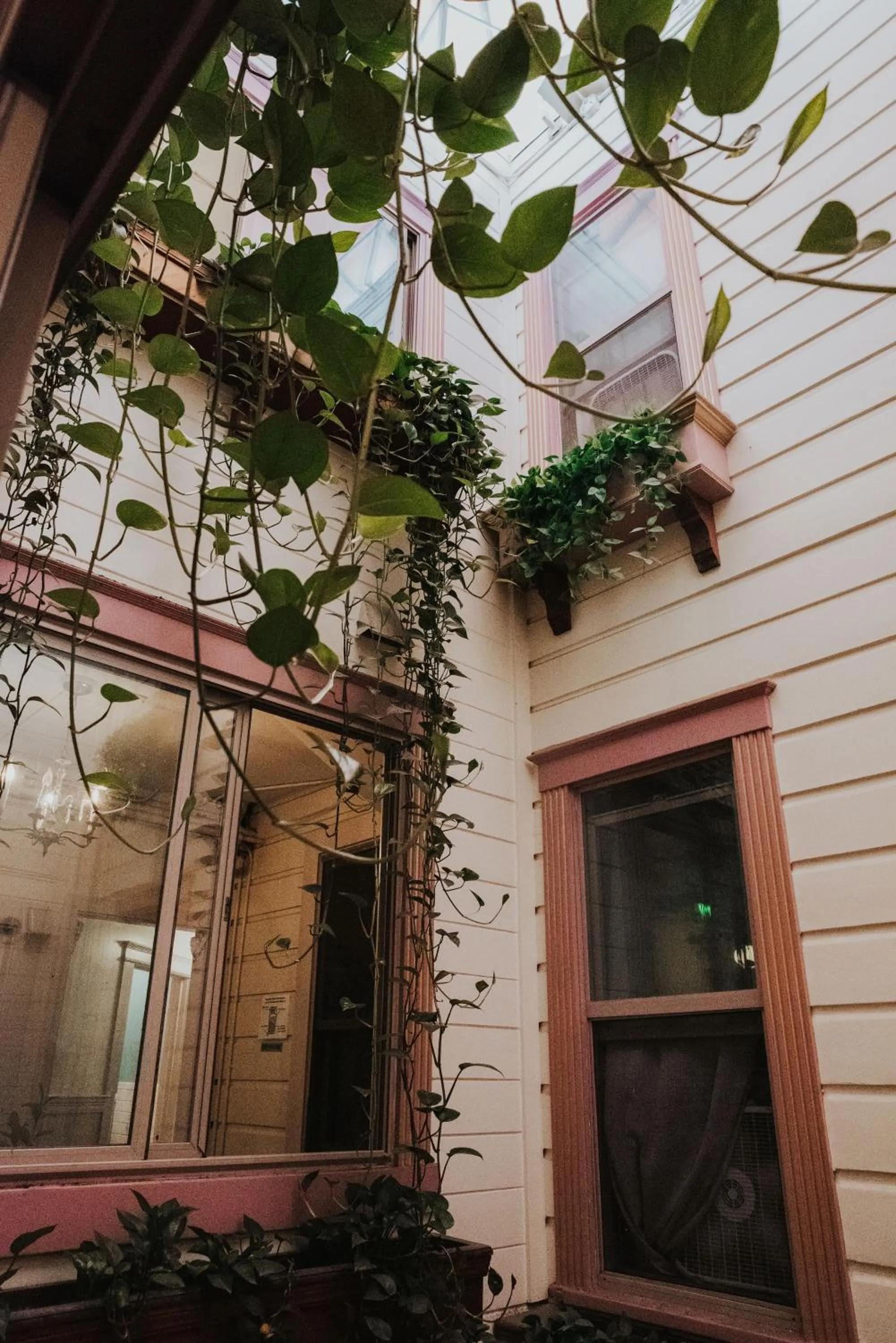 Property building in Green Tortoise Hostel