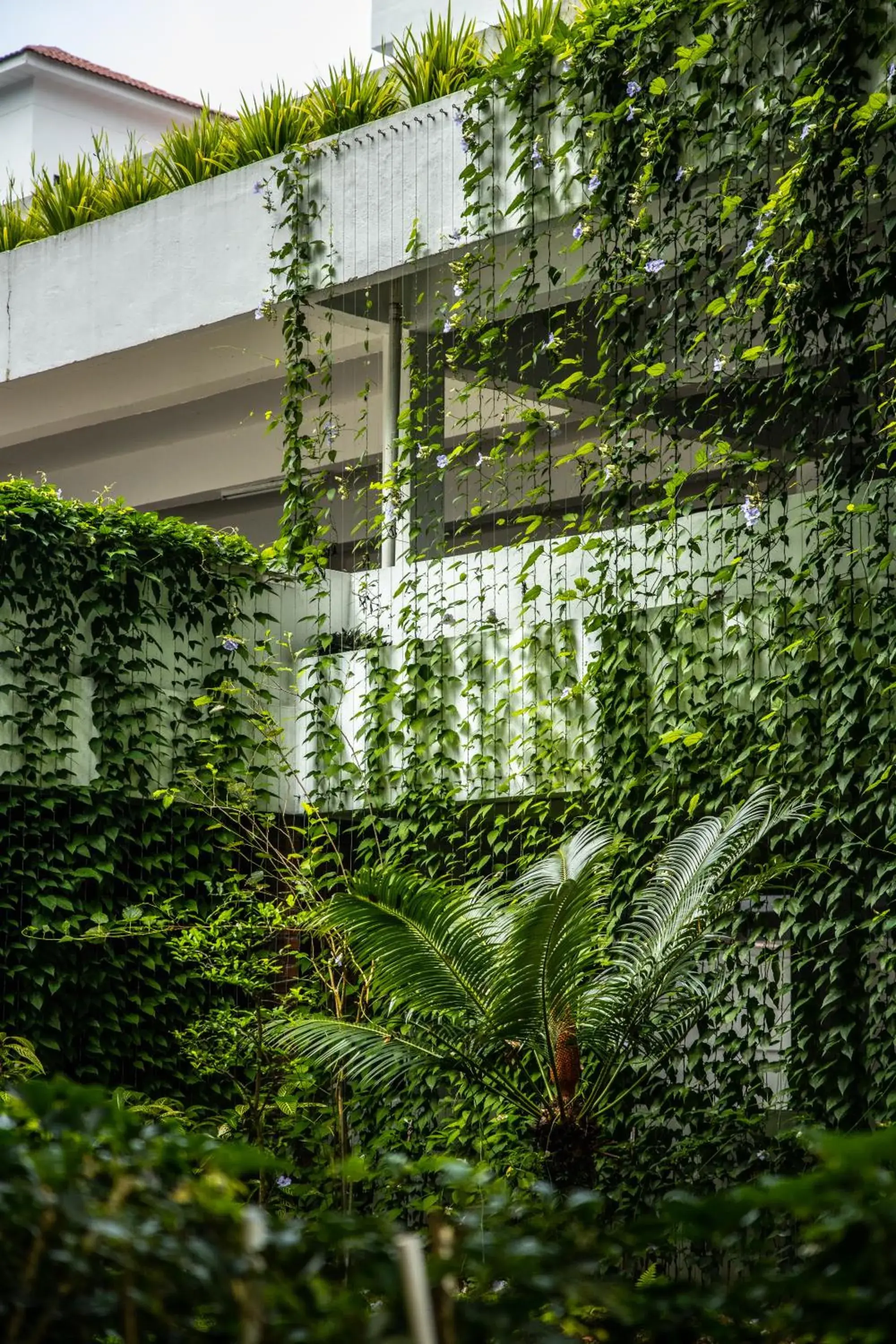 Restaurant/places to eat in Genting View Resort Restaurant/places to eat in Genting View Resort