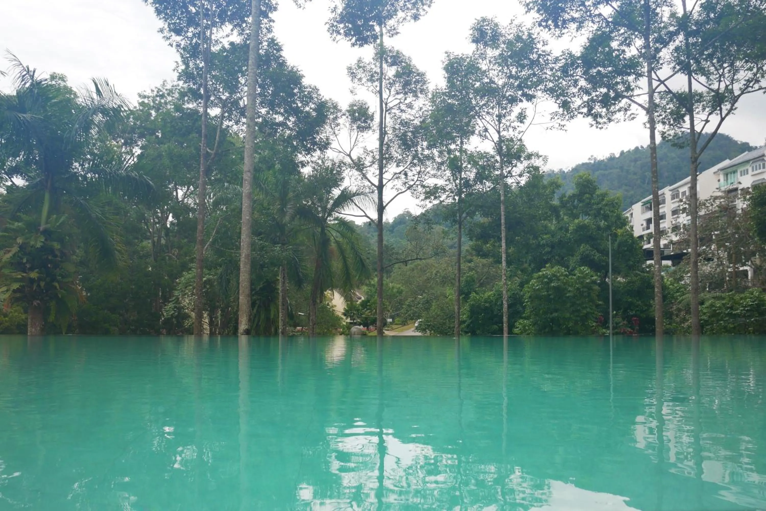 Swimming pool in Genting View Resort