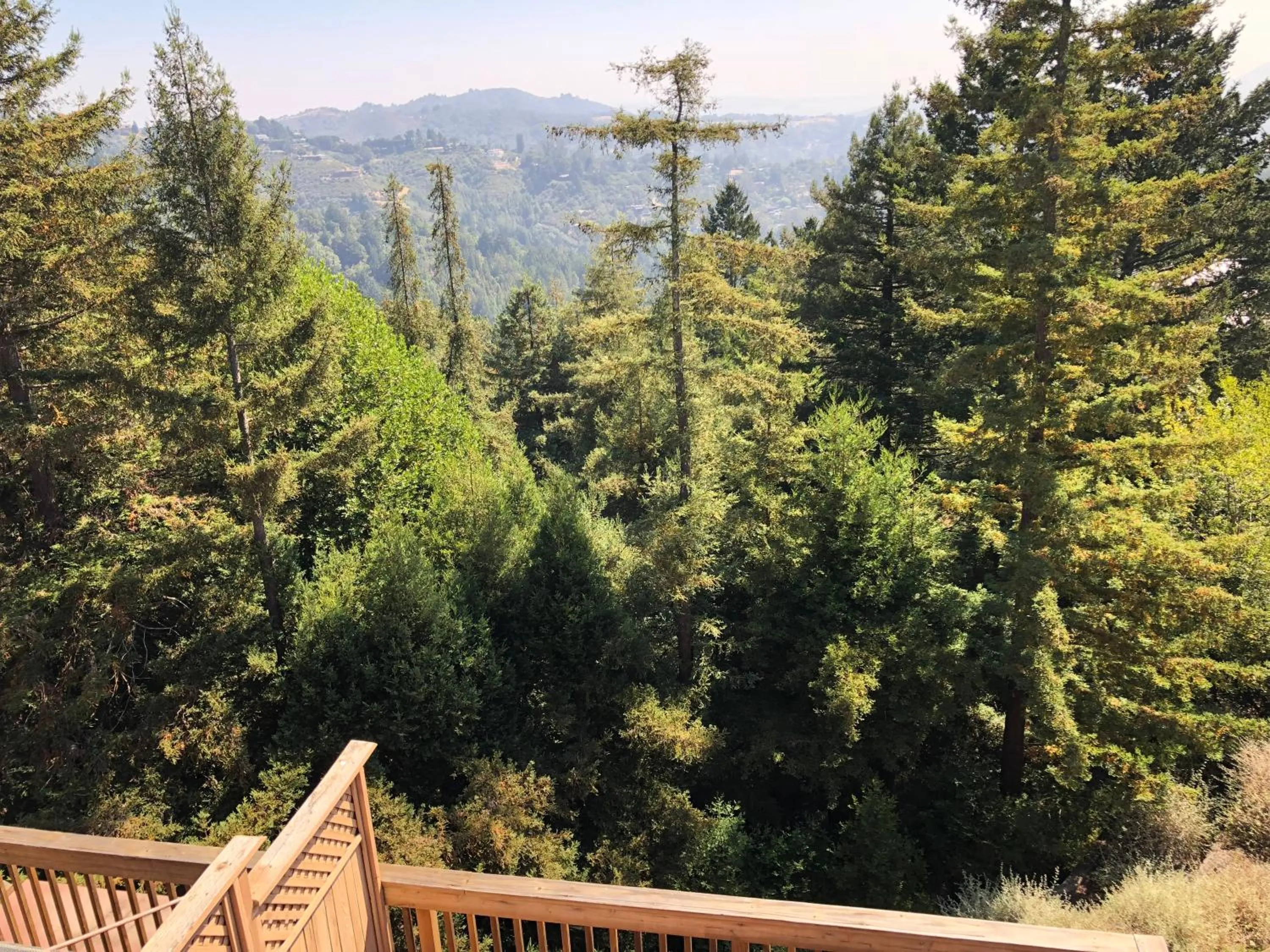 Queen Room with Patio and View in Mountain Home Inn