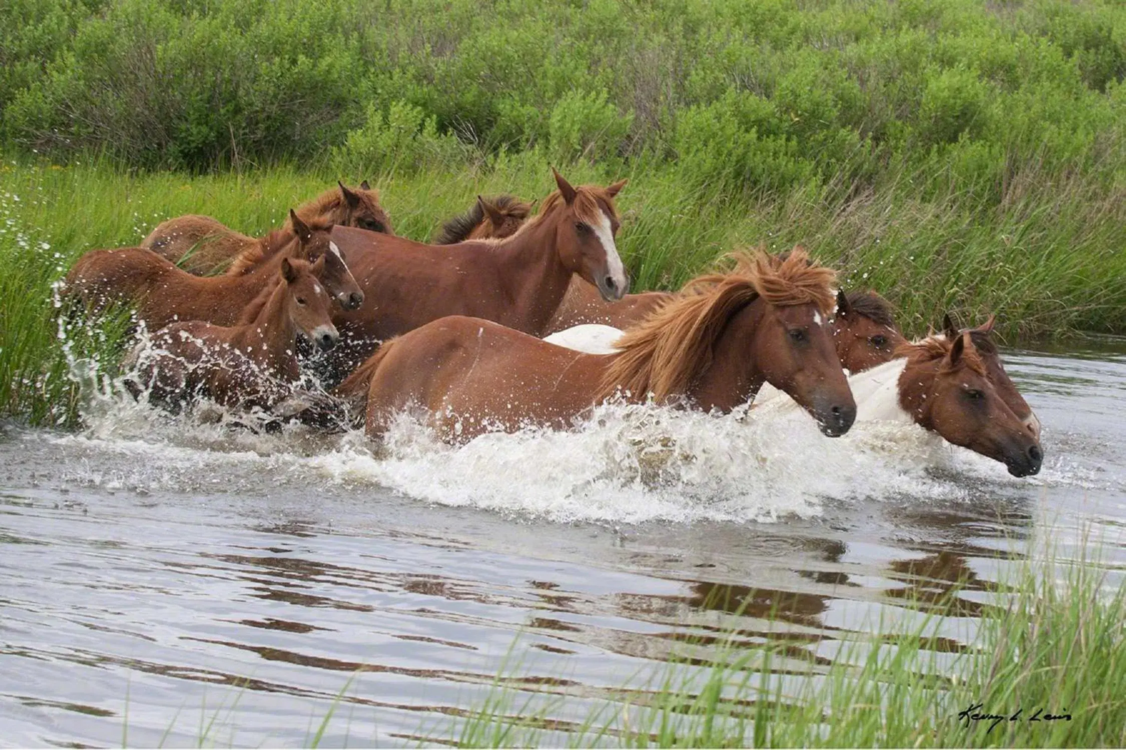 Property building in Hampton Inn & Suites Chincoteague-Waterfront, Va Property building in Hampton Inn & Suites Chincoteague-Waterfront, Va