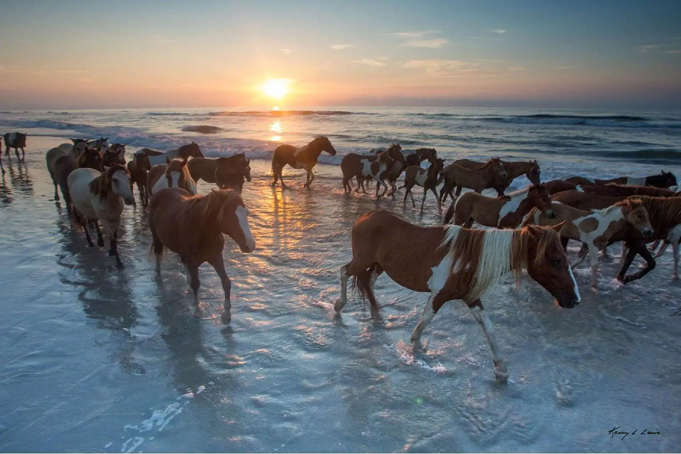 Property building in Hampton Inn & Suites Chincoteague-Waterfront, Va Property building in Hampton Inn & Suites Chincoteague-Waterfront, Va