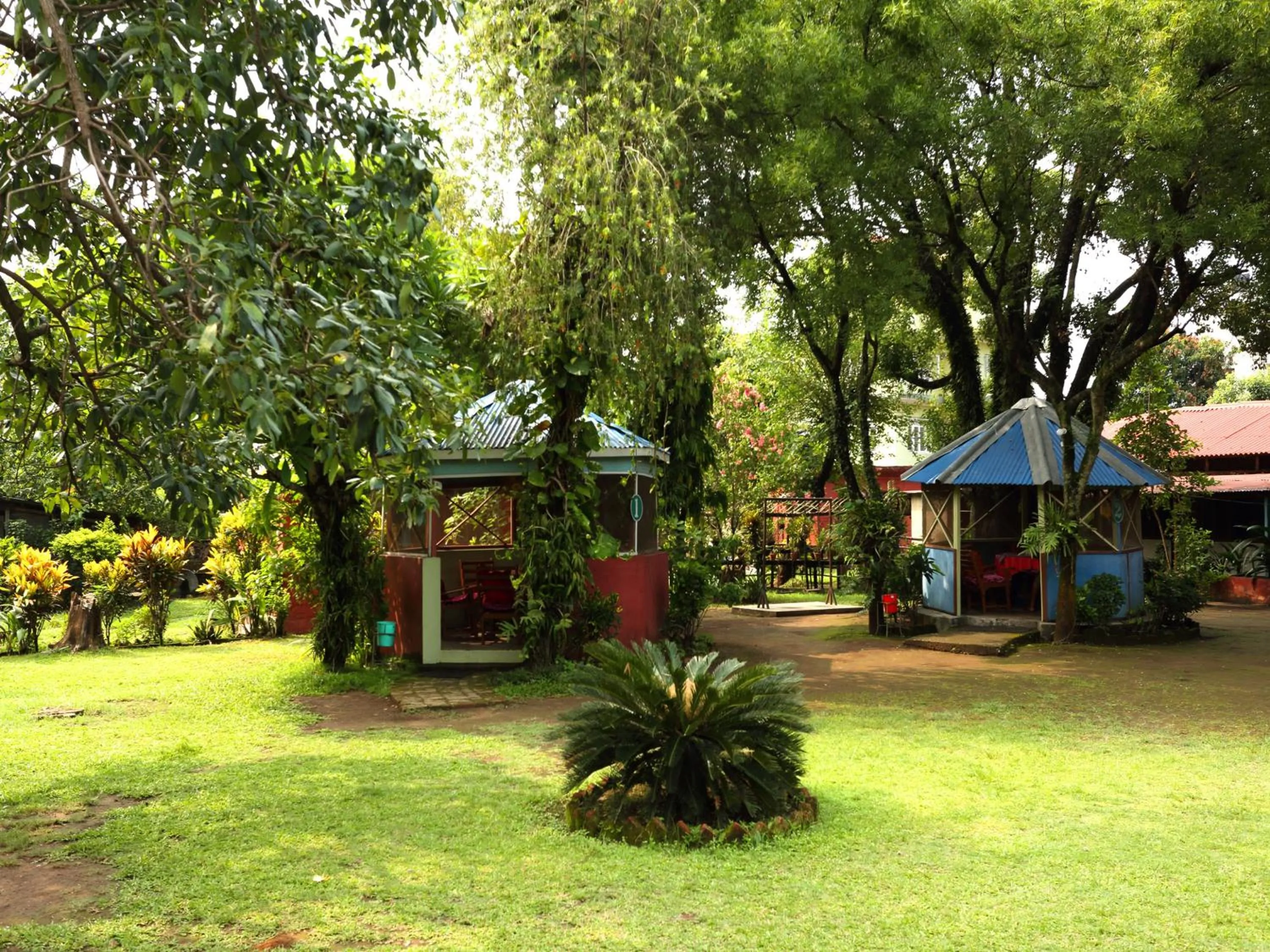 Garden in Avocado Orchid Resort