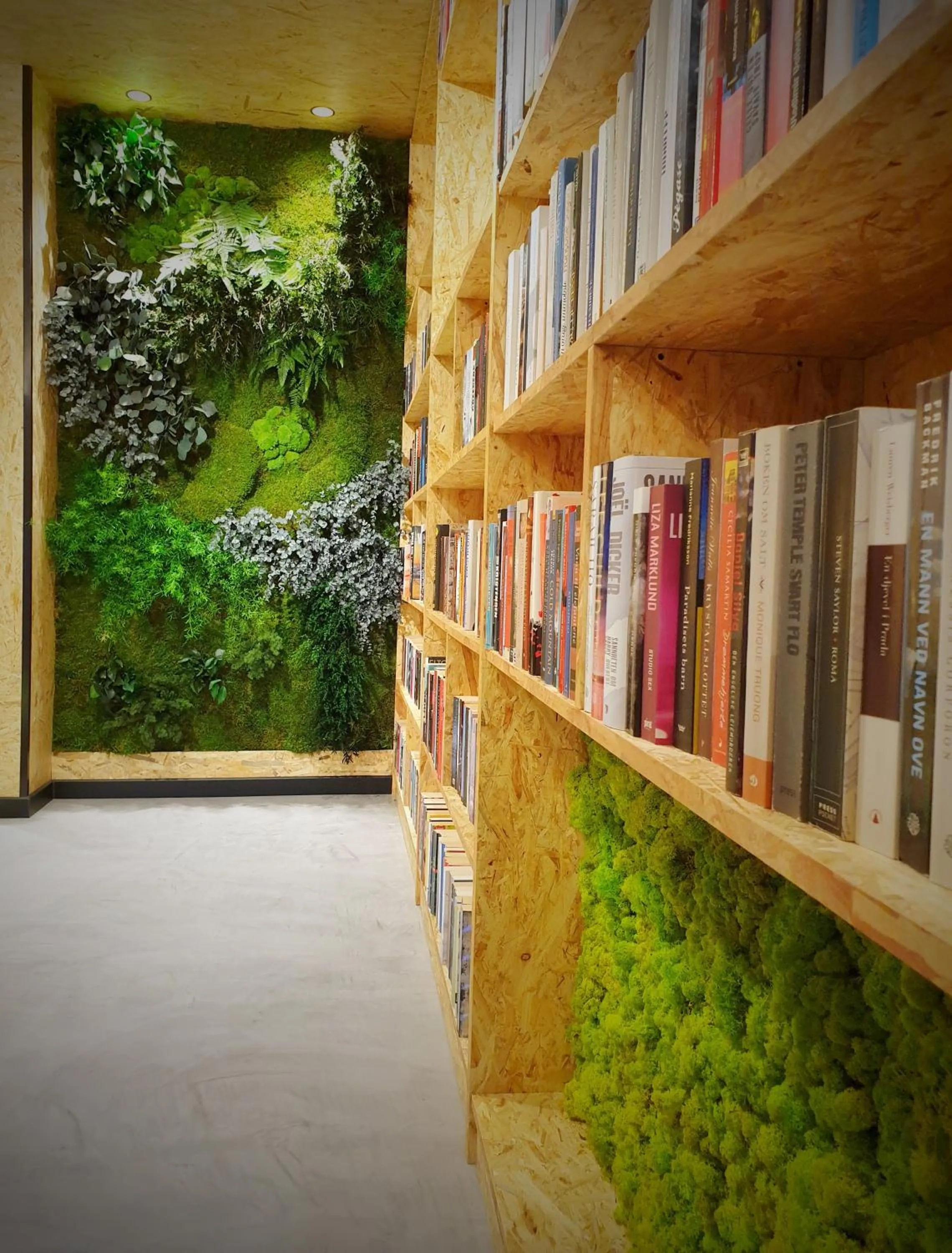 Library in MB Hostels Premium ECO - Adults Recommended
