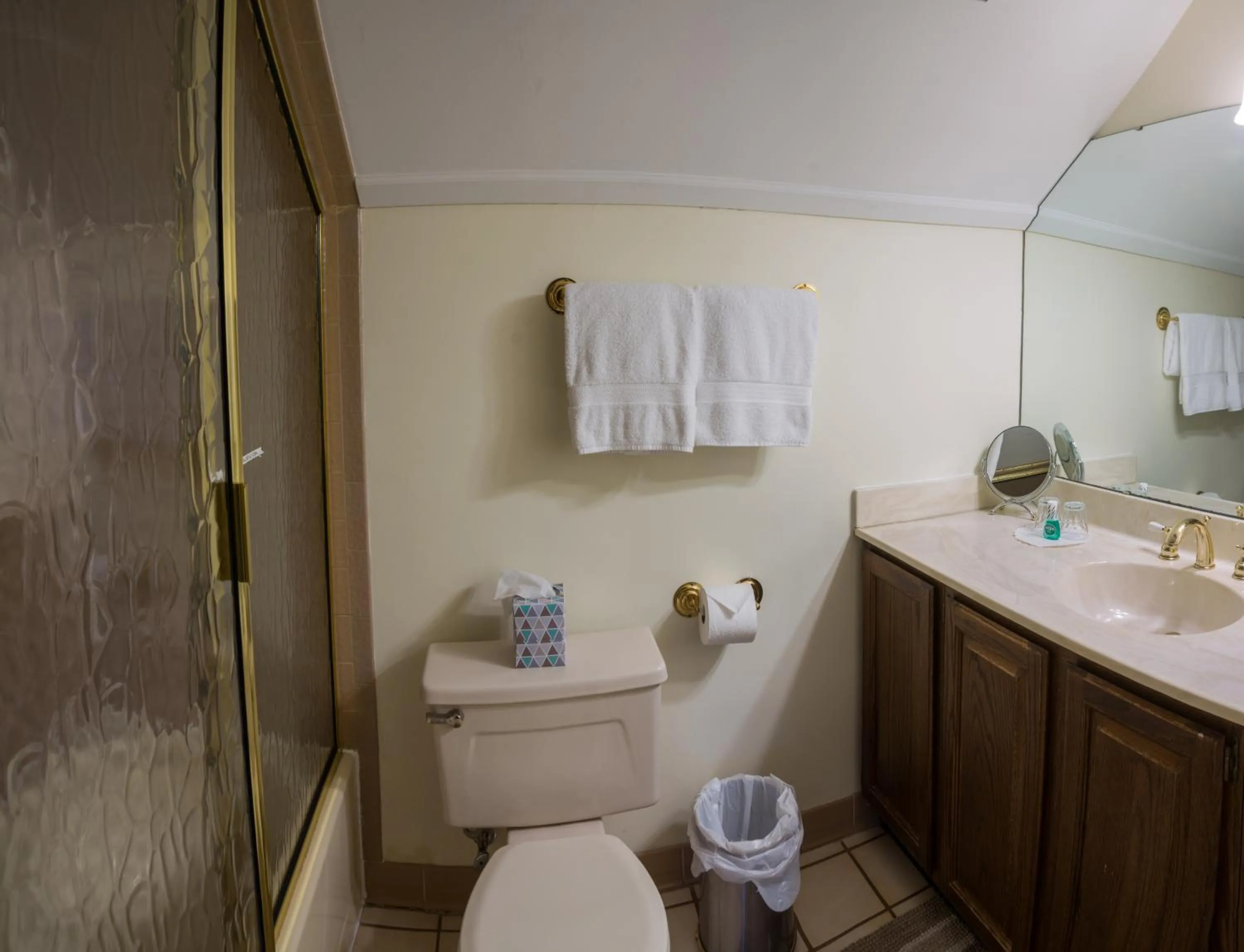 Toilet in The Richard Johnston Inn & 1890 Caroline House