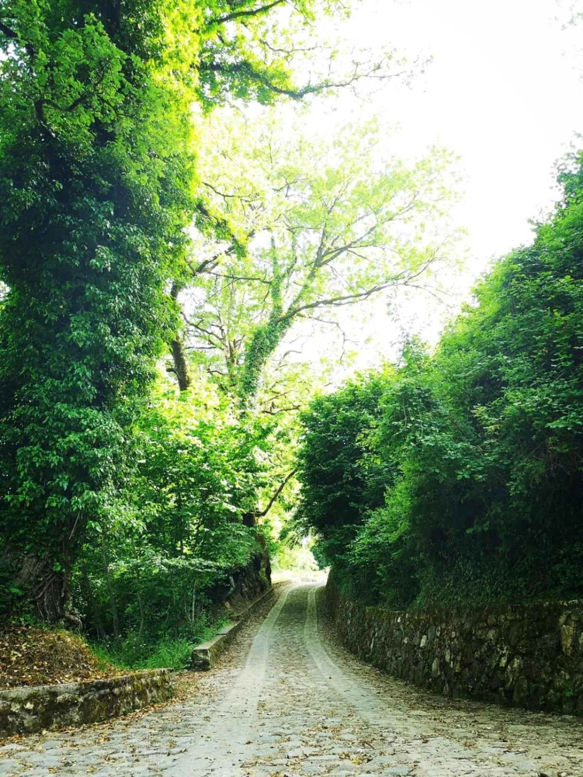 Natural landscape in Le Vie Mediterranee
