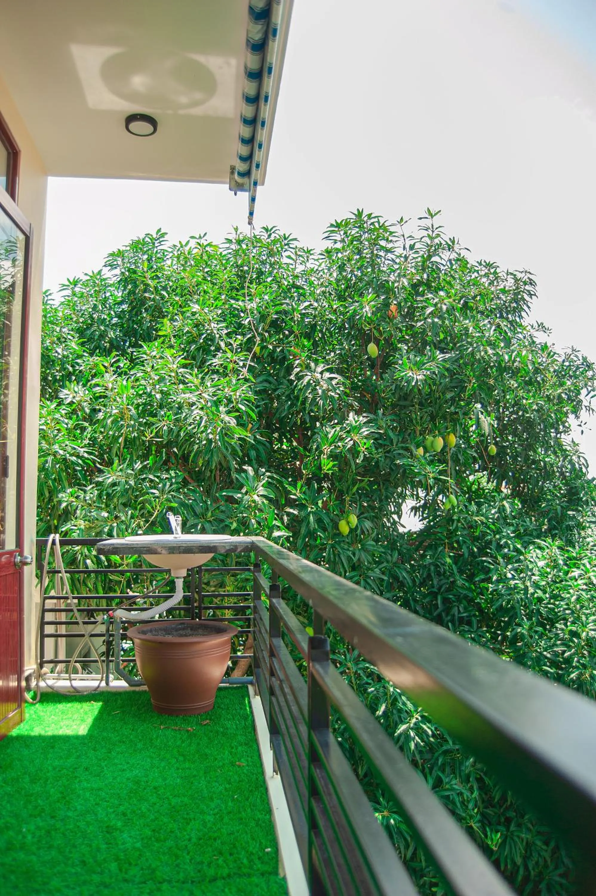 Balcony/Terrace in Golden Soulmate homestay