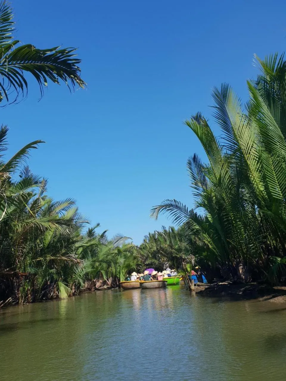 Natural landscape in Golden Soulmate homestay