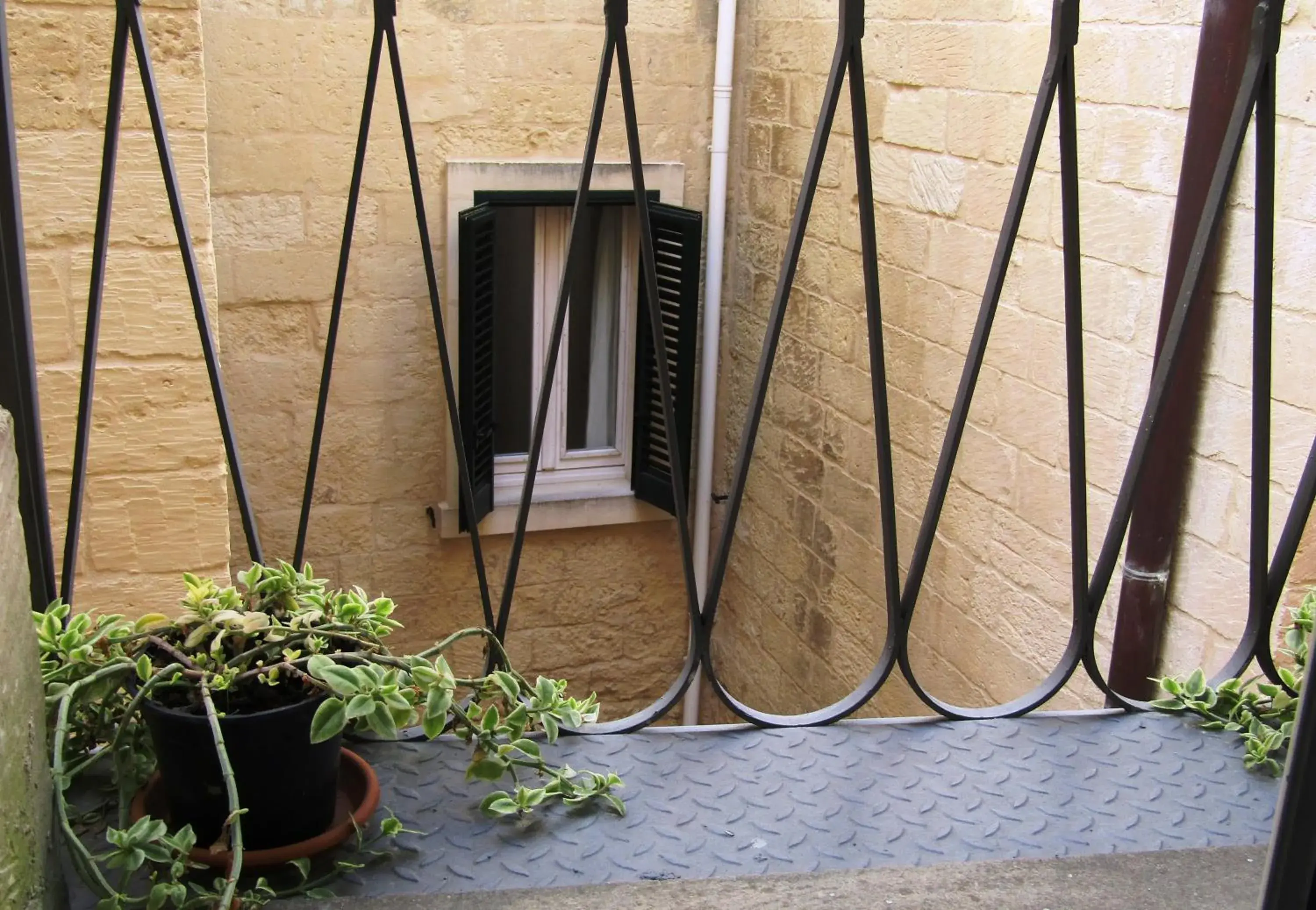 Facade/entrance in Casa Mamma Elvira Facade/entrance in Casa Mamma Elvira