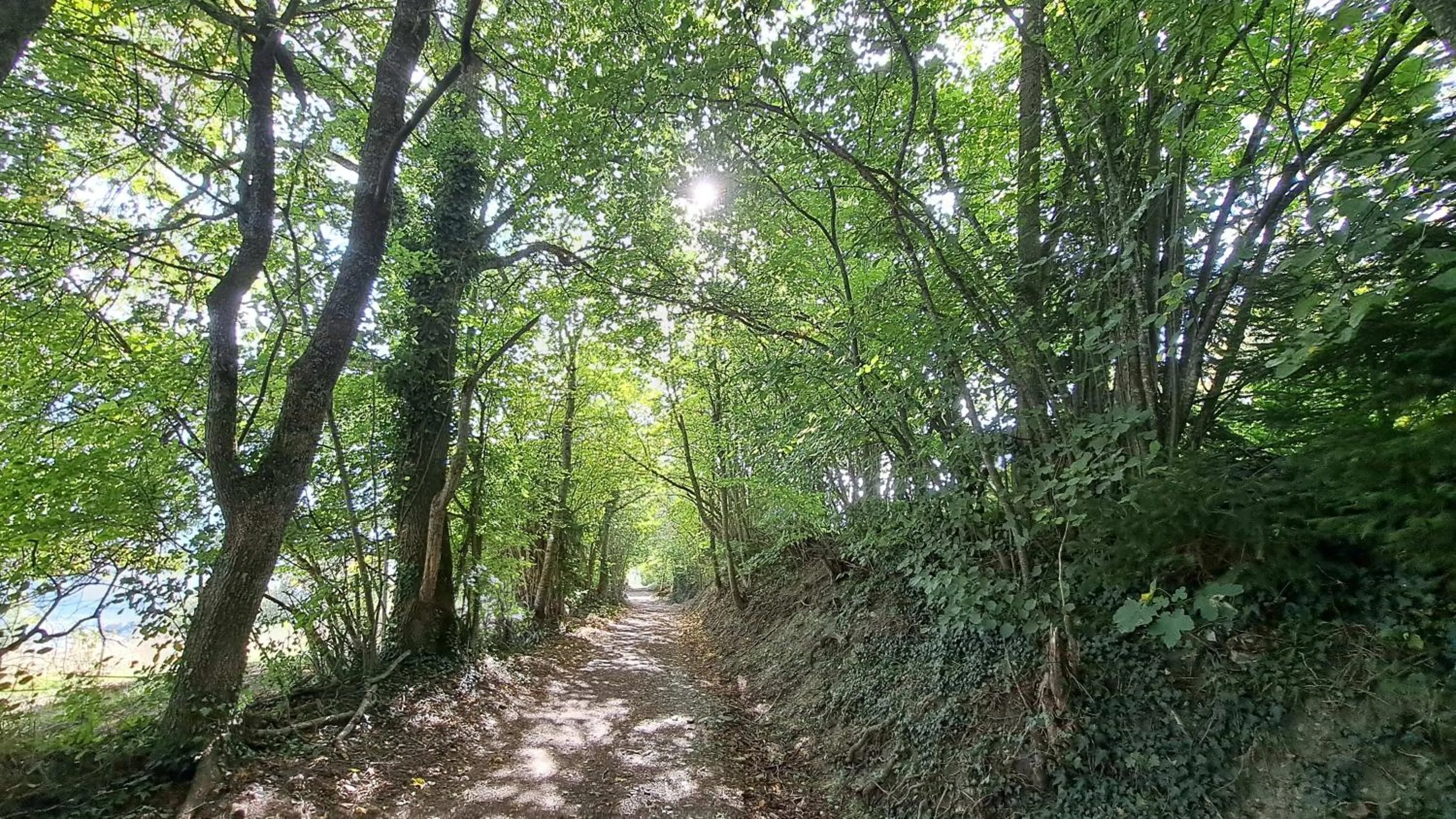 Hiking in Chalet Diognysos B&B, Wellness & Boutique Hotel