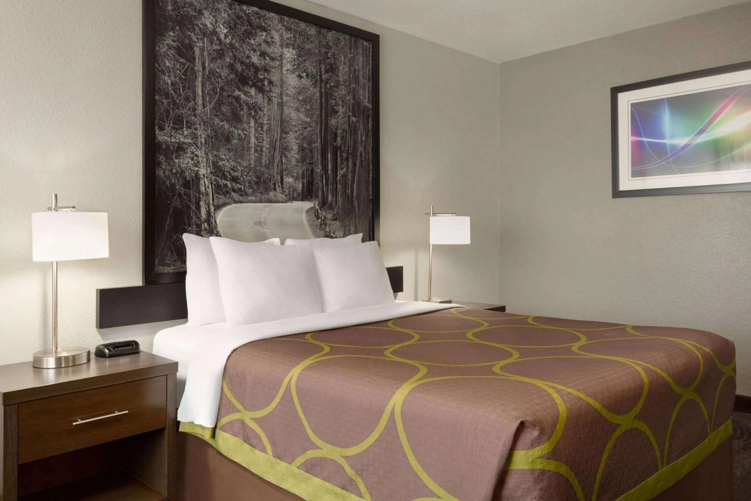 Photo of the whole room, Bed in Super 8 by Wyndham Eureka