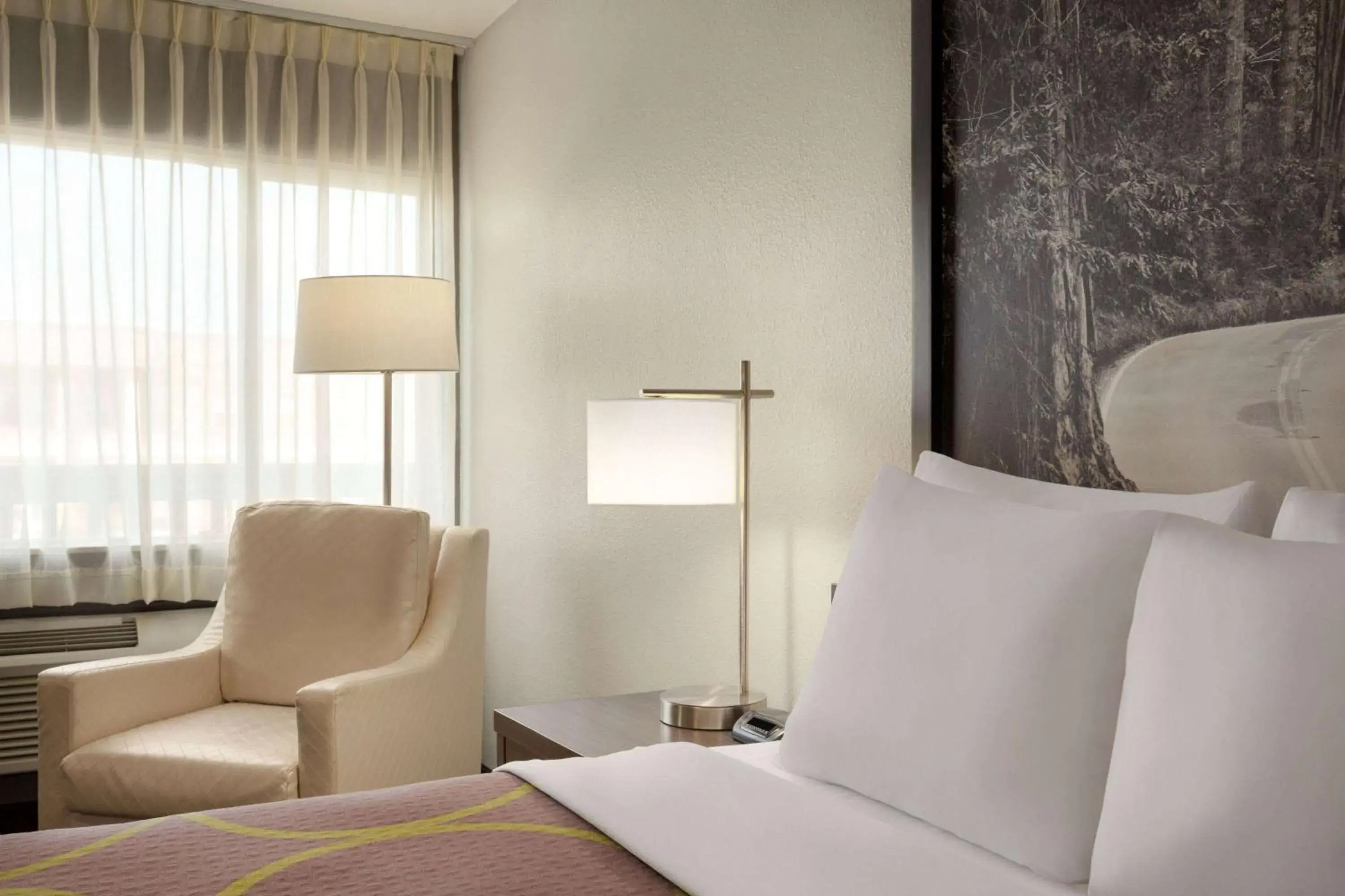 Queen Room - Mobility Access/Non-Smoking in Super 8 by Wyndham Eureka Queen Room - Mobility Access/Non-Smoking in Super 8 by Wyndham Eureka