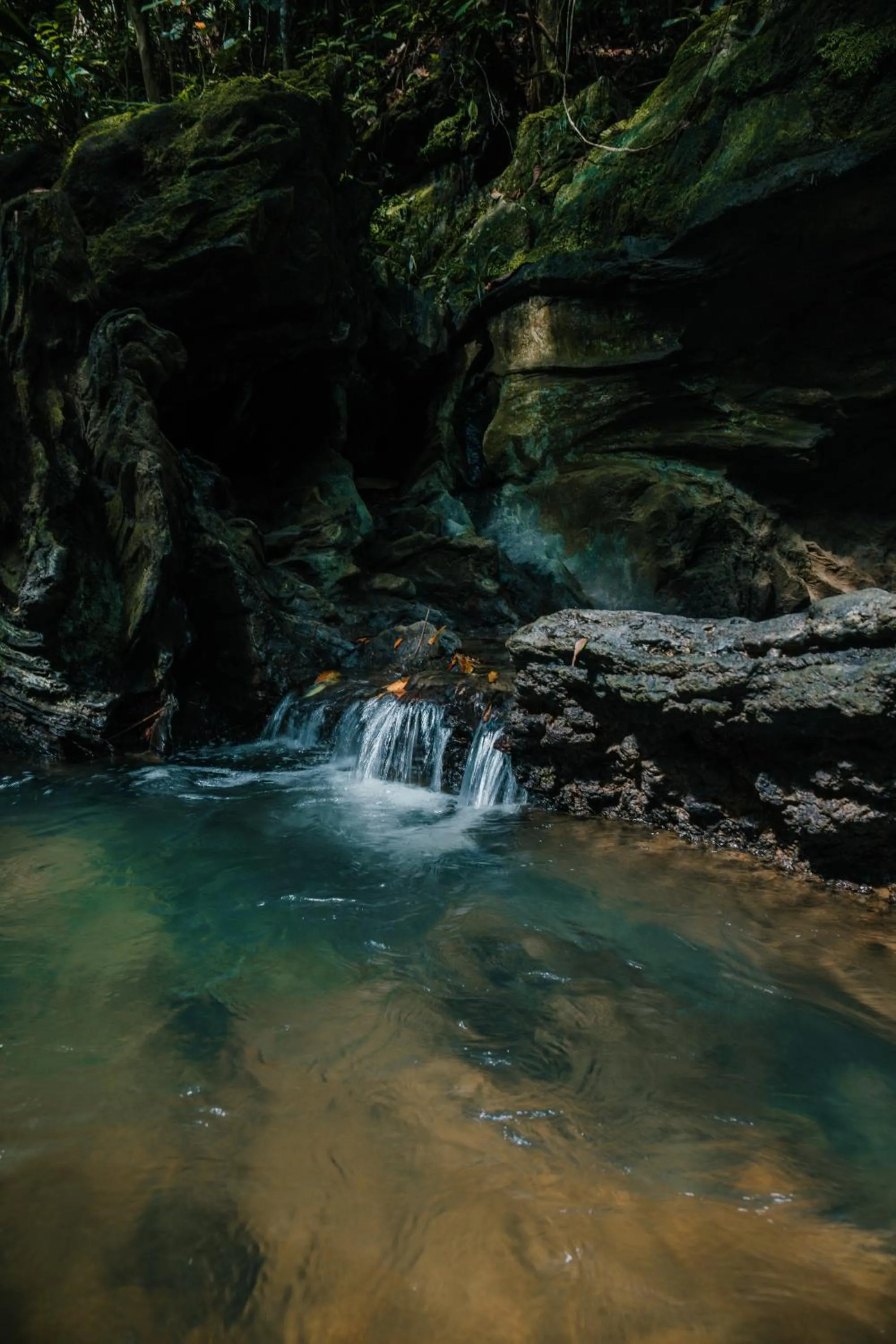Natural landscape in El Rio Hotel