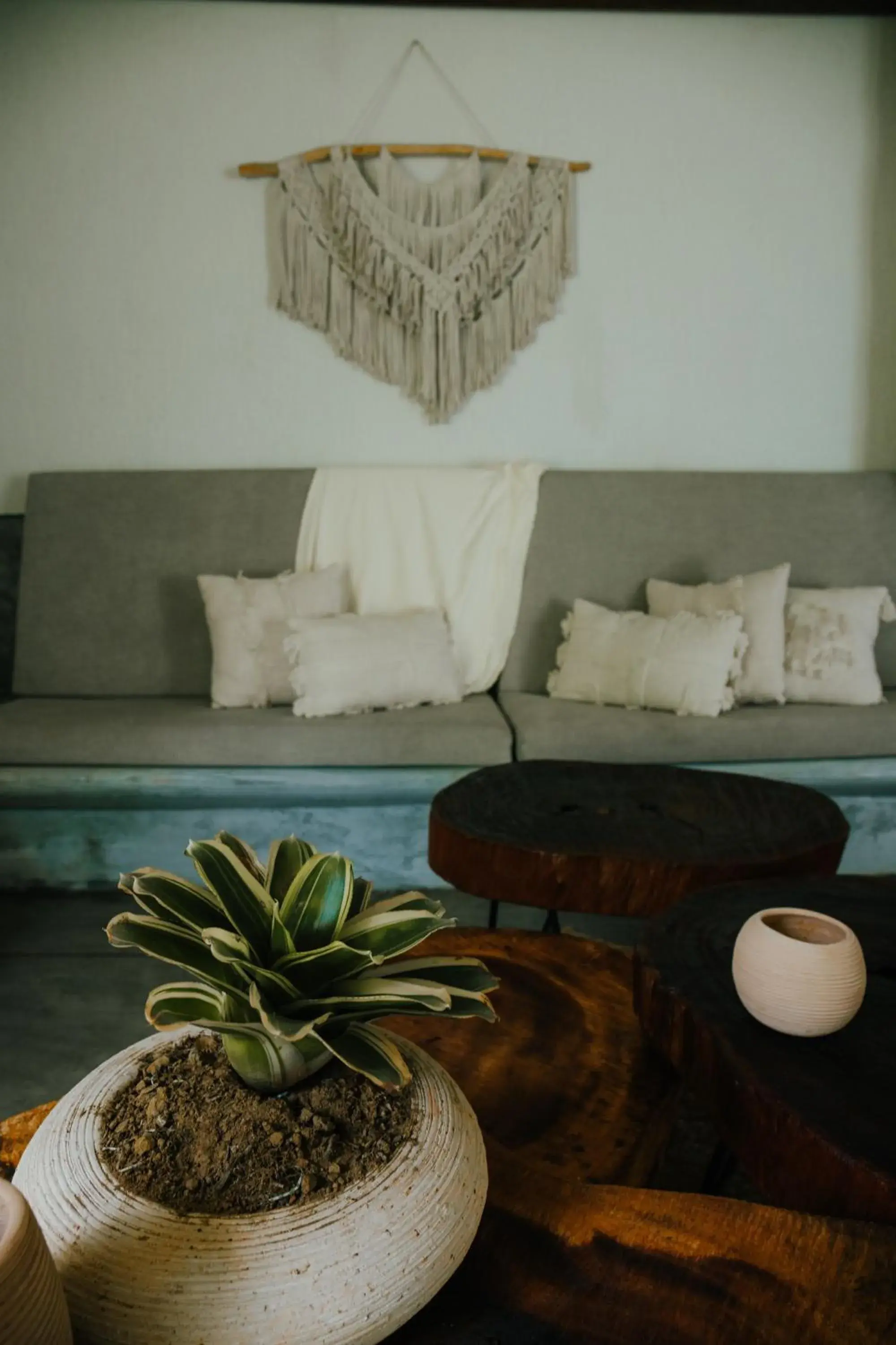 Executive Suite in El Rio Hotel Executive Suite in El Rio Hotel