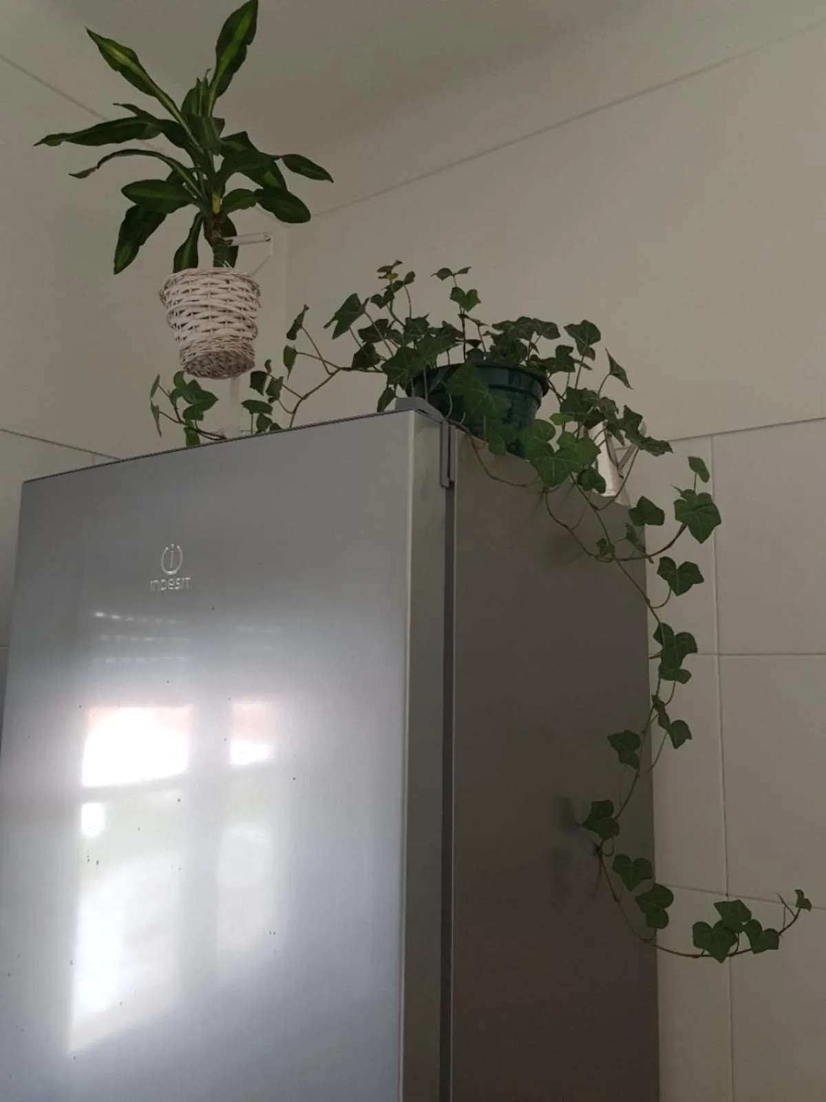 Decorative detail in Green Element Guesthouse