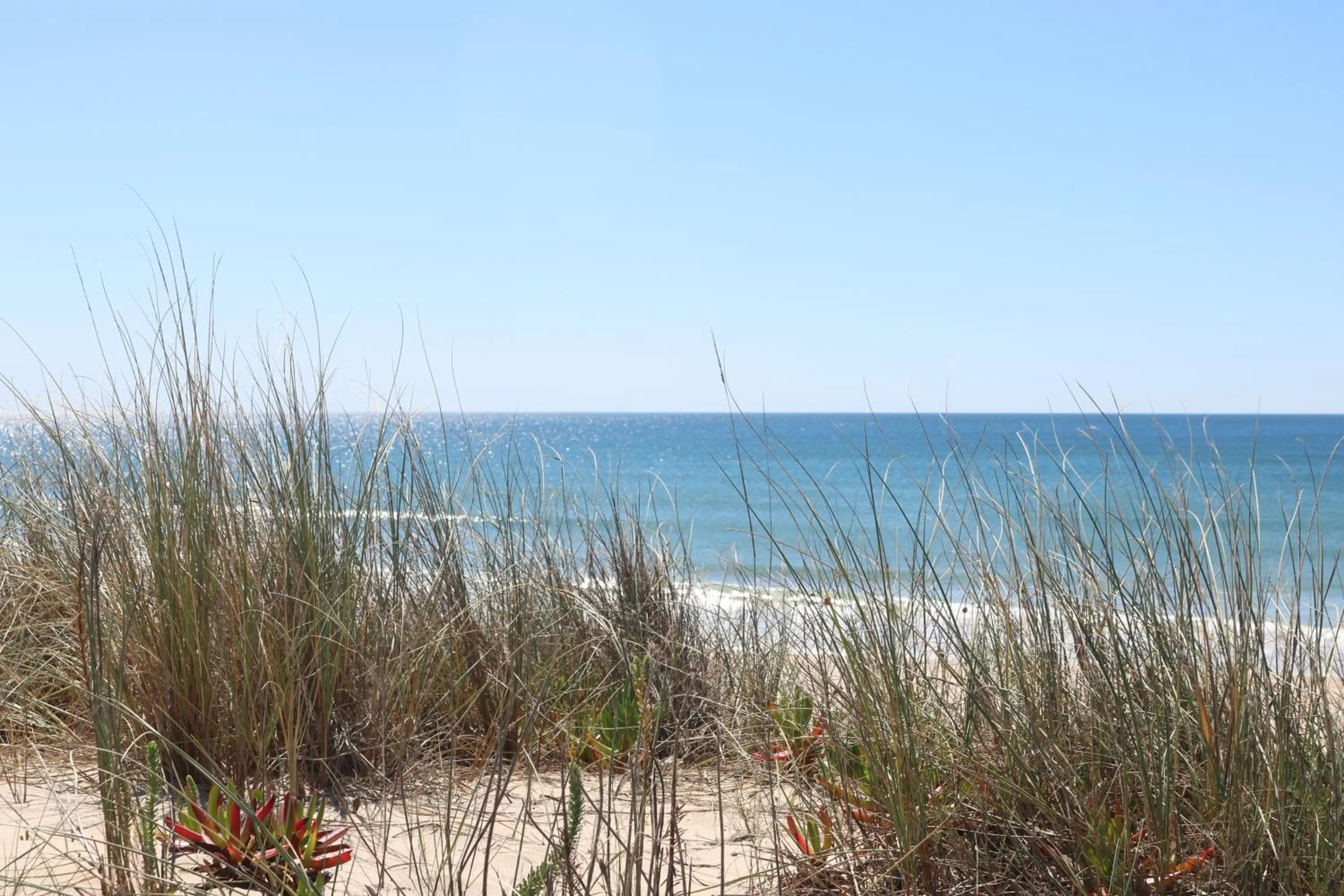 Natural landscape in Green Element Guesthouse