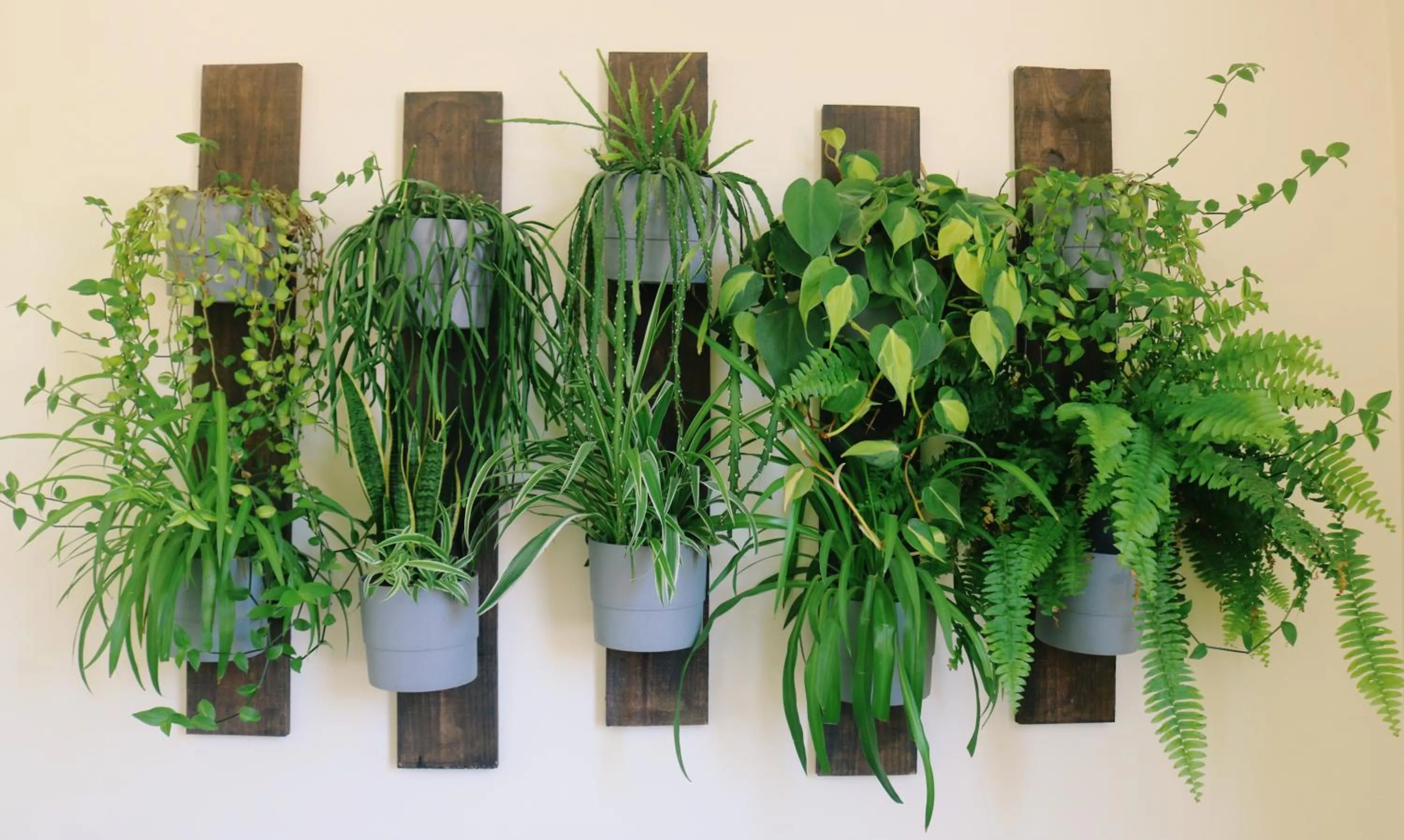 Decorative detail in Green Element Guesthouse