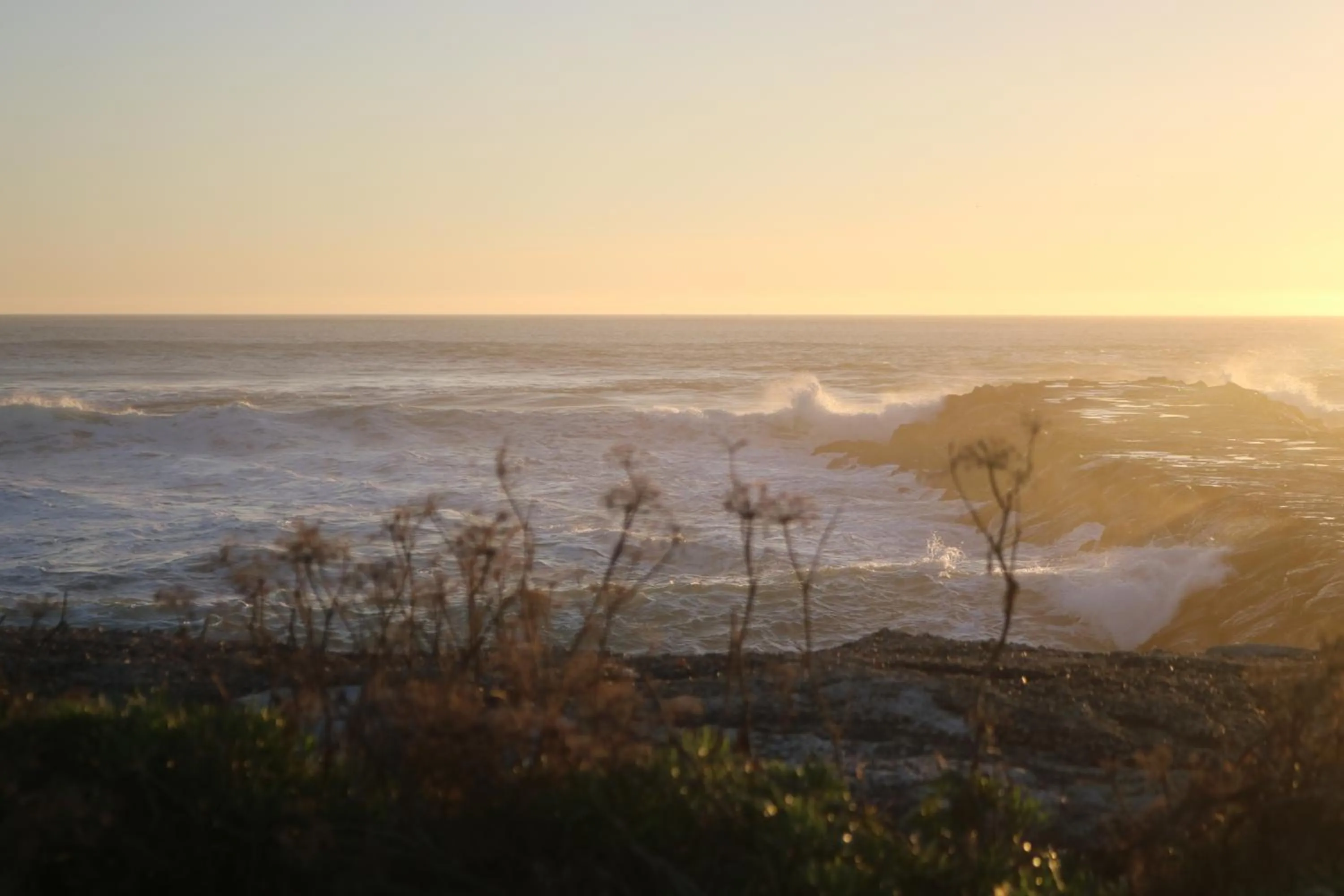 Natural landscape in Green Element Guesthouse