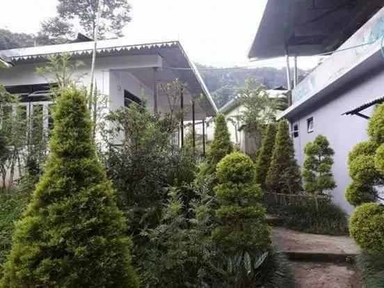 Property building in Yakchiri Homestay