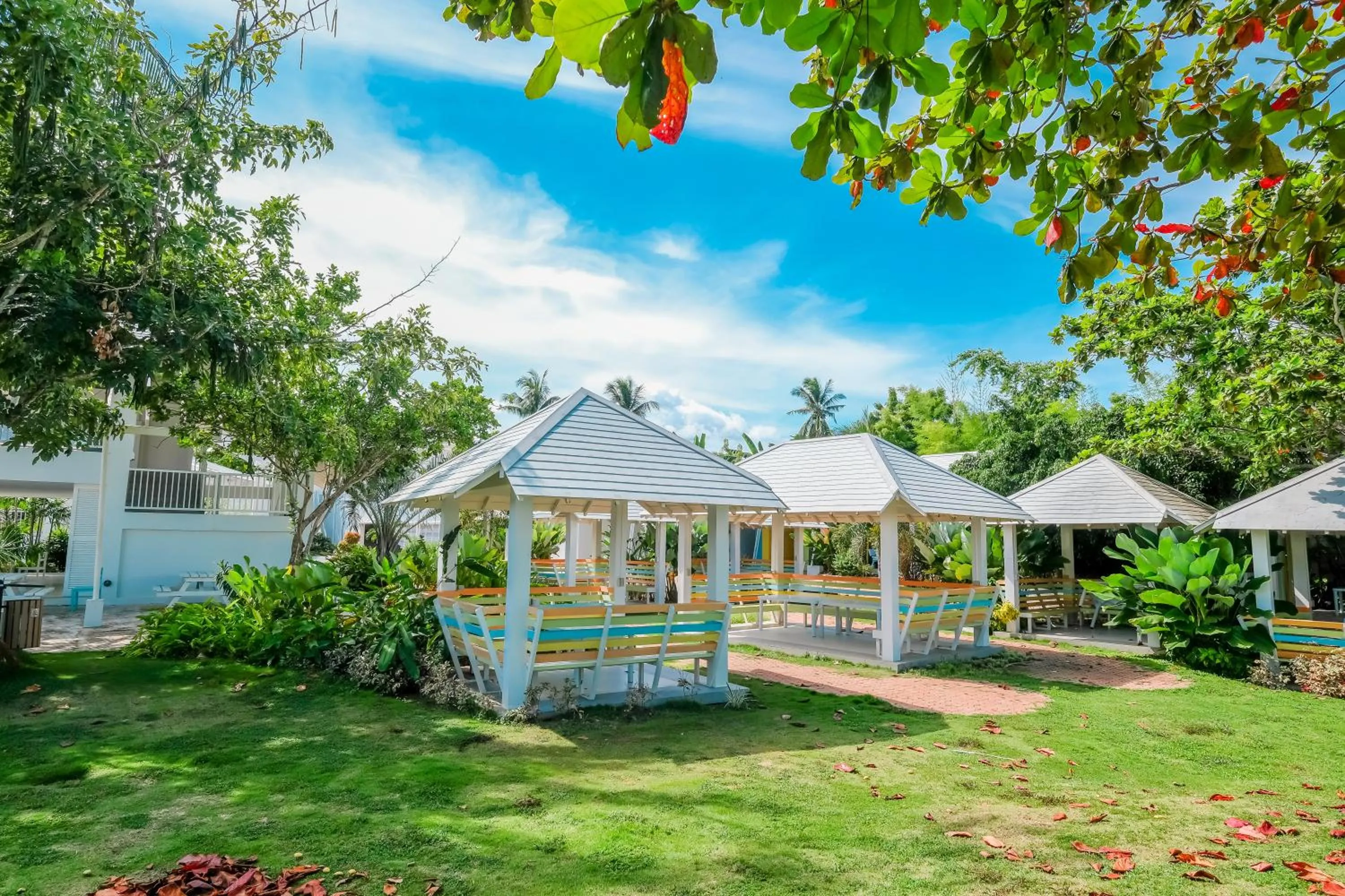 Day in Maayo San Remigio