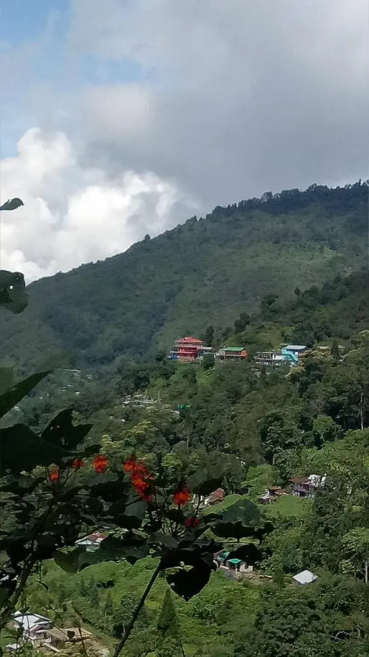 Vamoose Khaling Vamoose Khaling