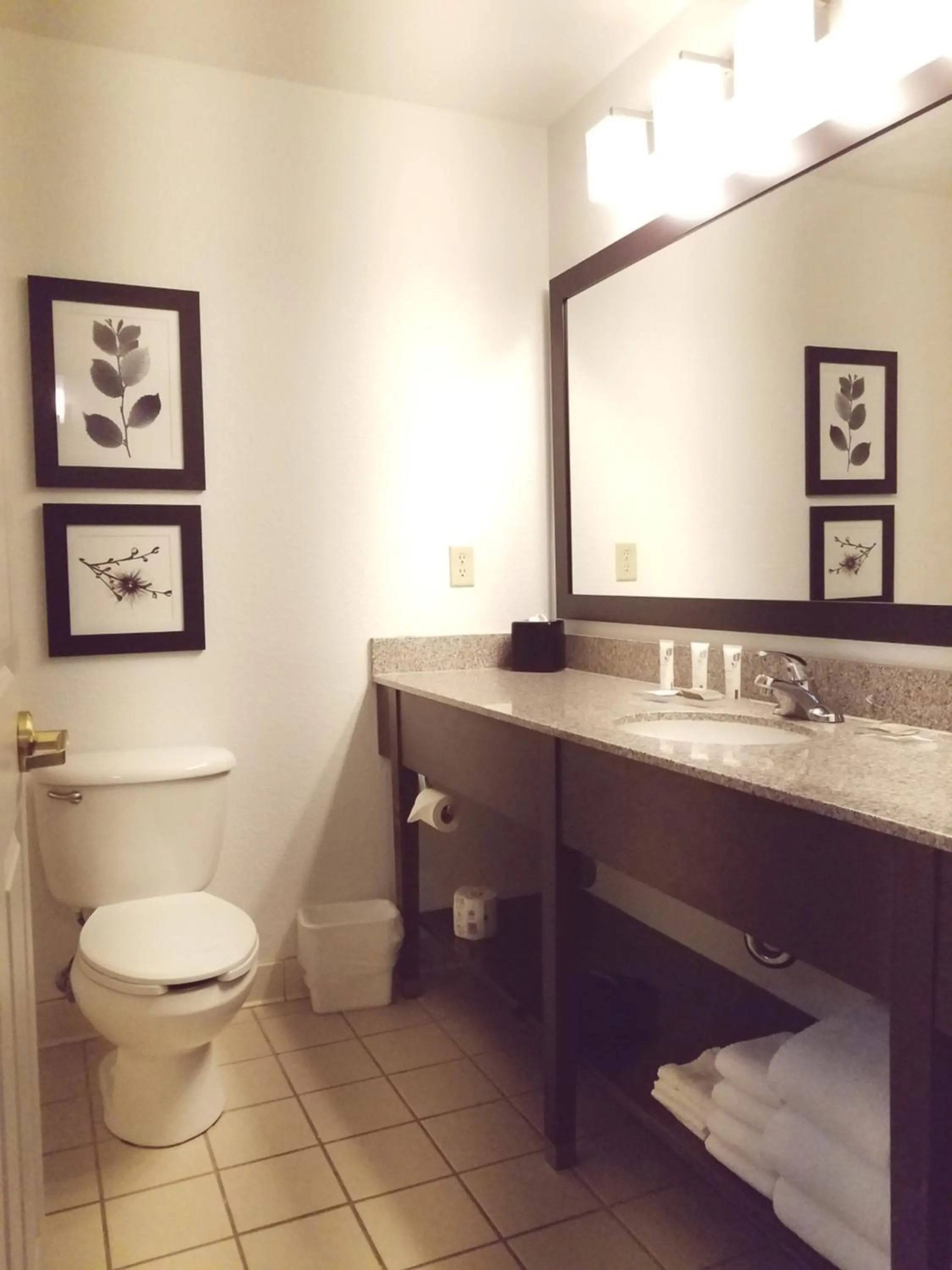 Toilet in Country Inn & Suites by Radisson, Willmar, MN