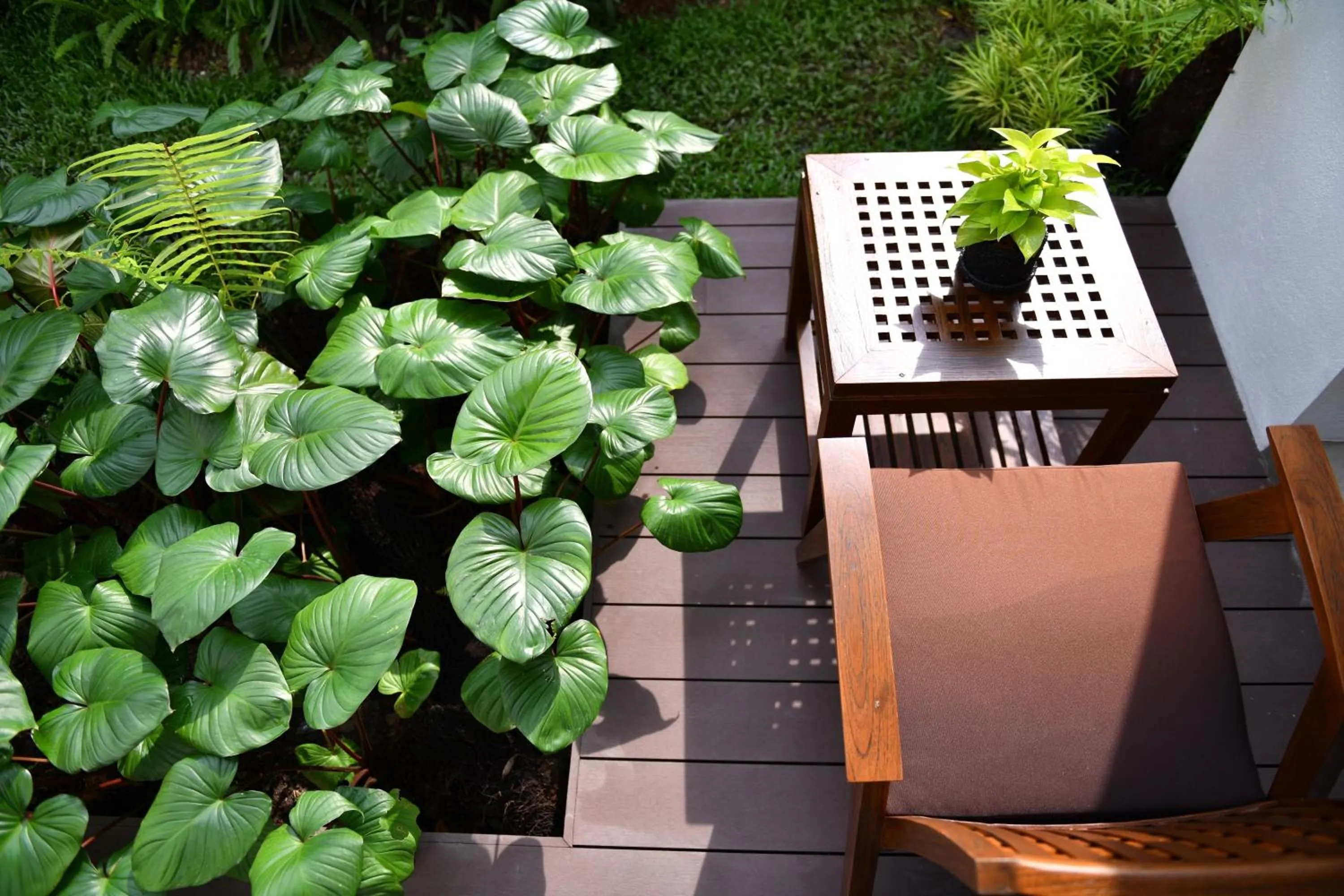 Garden in El Barrio Lanna