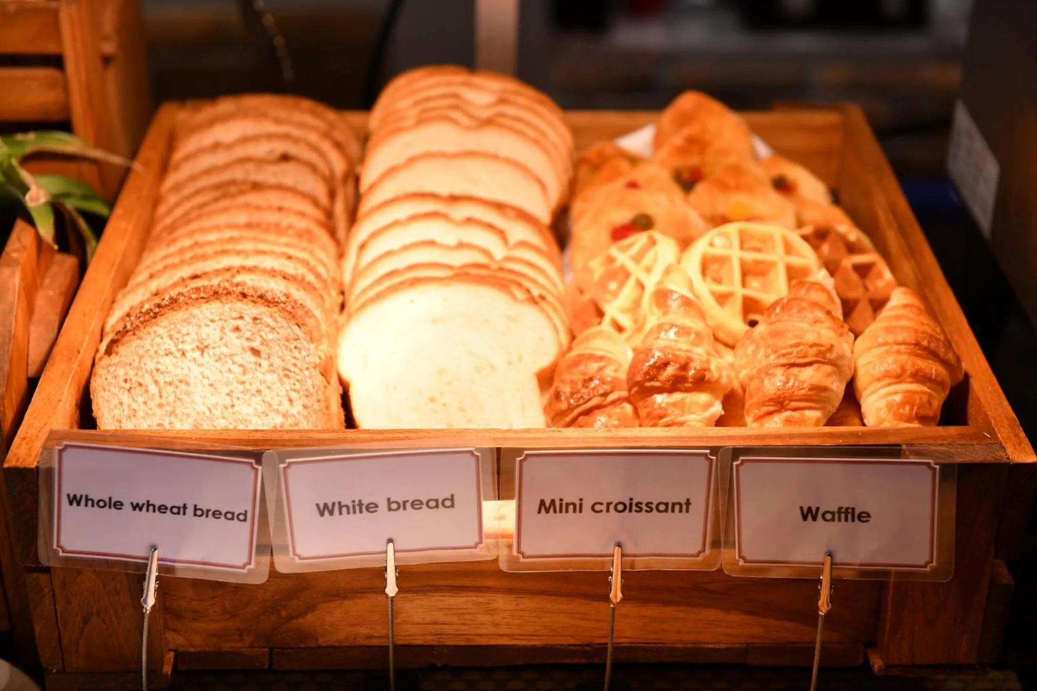 Breakfast in El Barrio Lanna