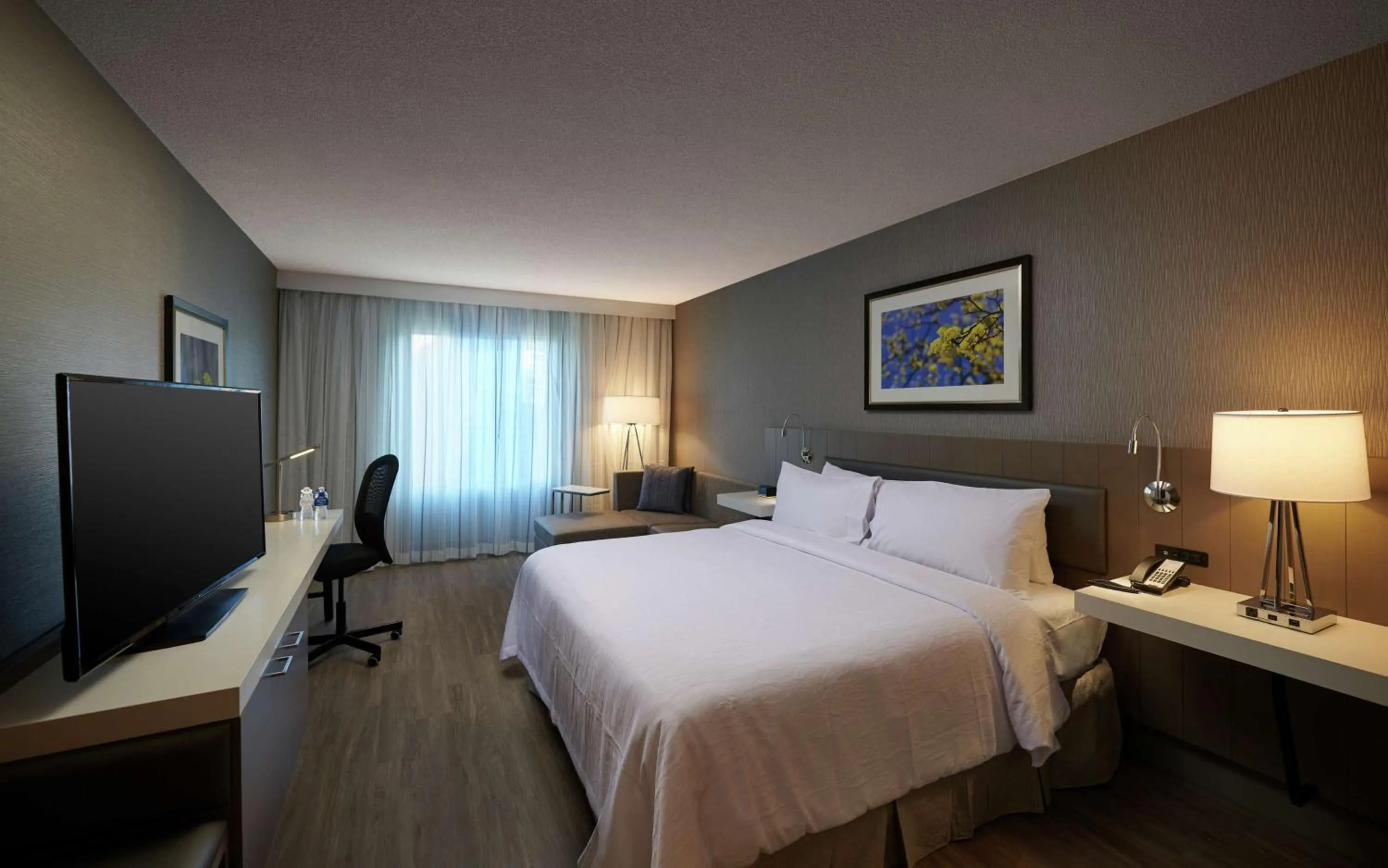 Bedroom, Bed in Hilton Garden Inn St. John's Newfoundland, Canada