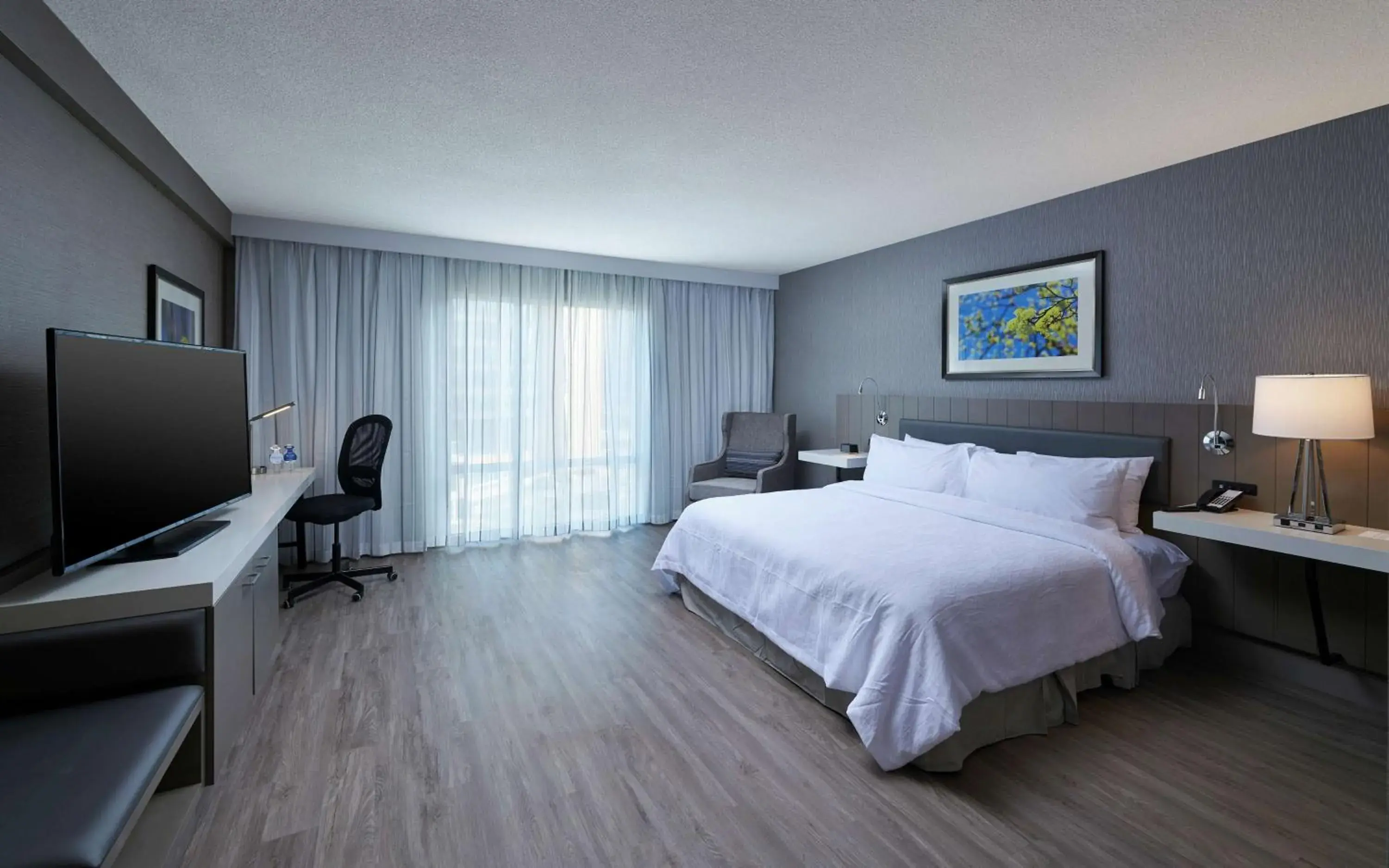 King Room with Harbor View in Hilton Garden Inn St. John's Newfoundland, Canada King Room with Harbor View in Hilton Garden Inn St. John's Newfoundland, Canada