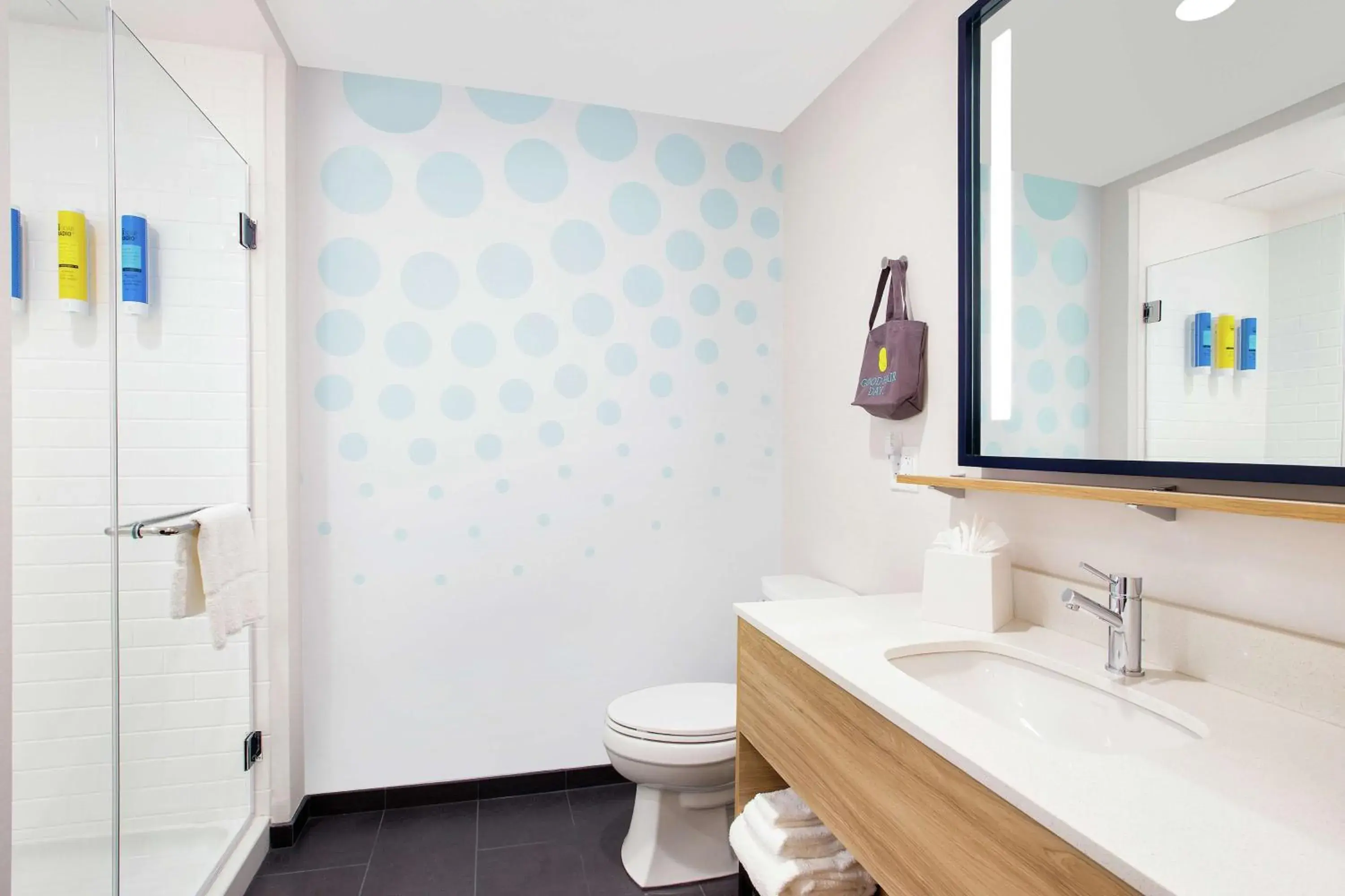 King Room in Tru By Hilton Audubon Valley Forge King Room in Tru By Hilton Audubon Valley Forge