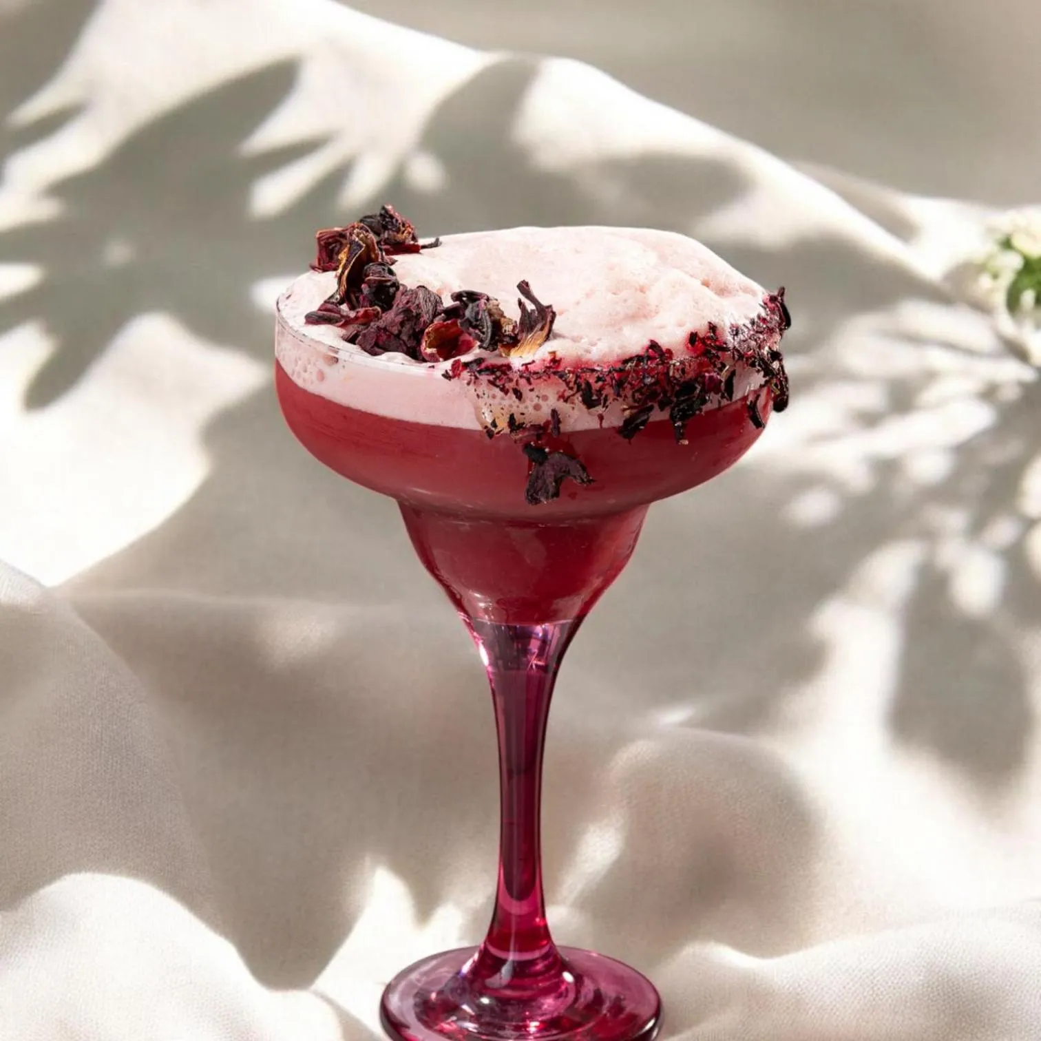 Restaurant/places to eat in Stayso The House Hotel