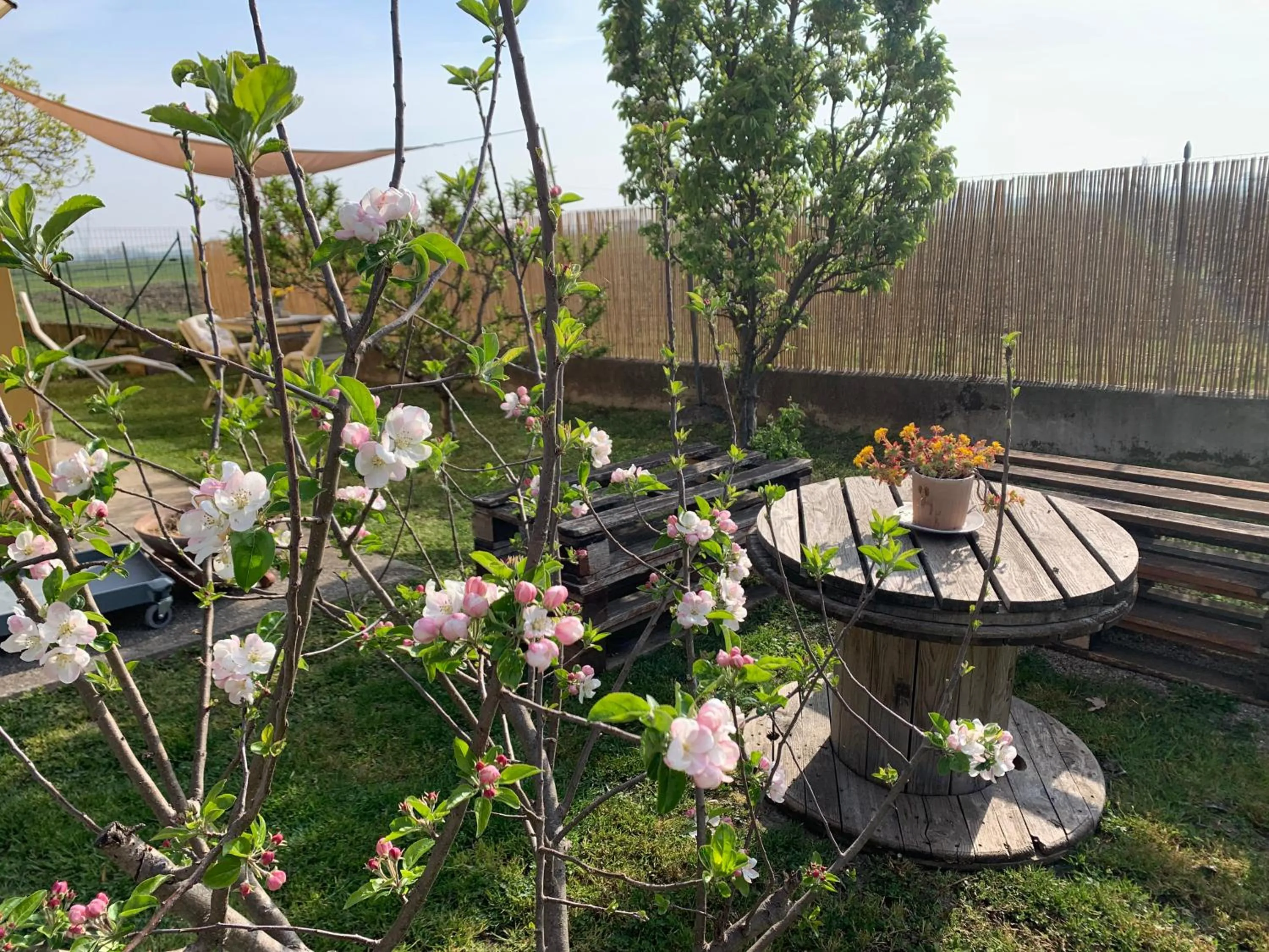 Garden in Corte castella