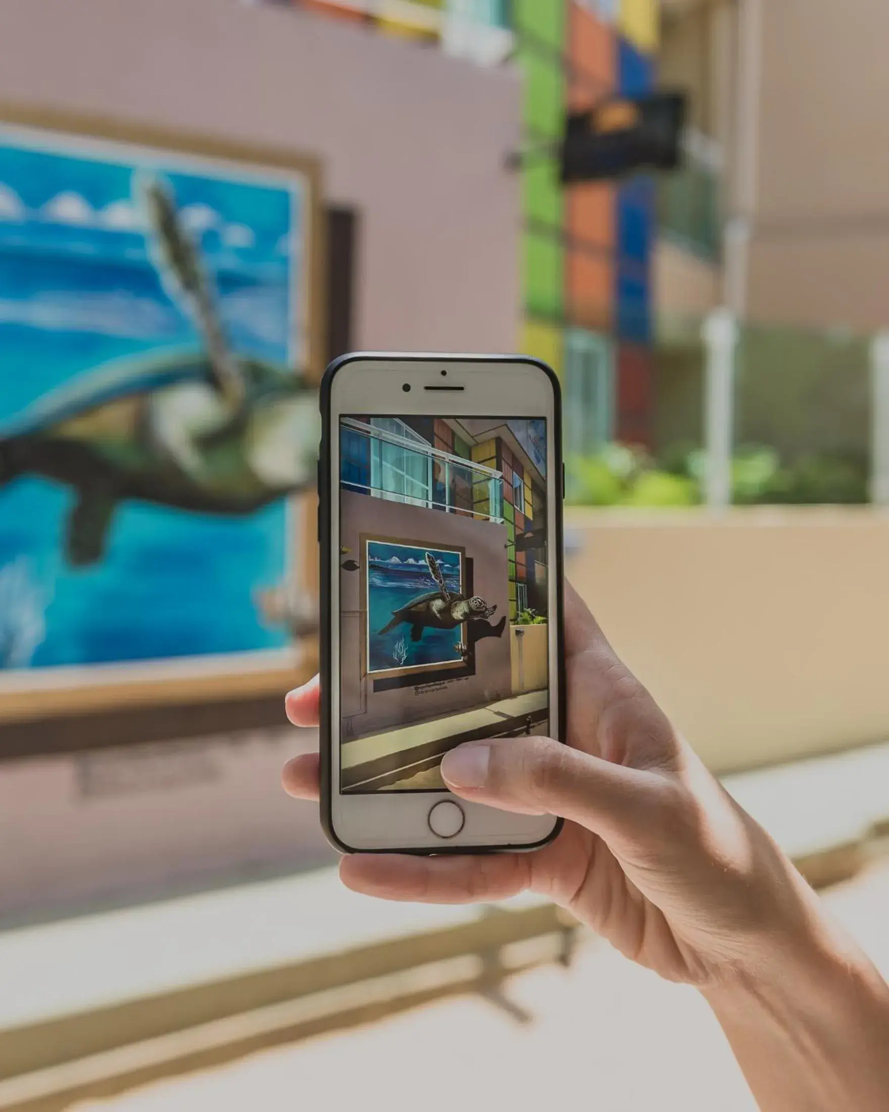 Facade/entrance in Mansomar Facade/entrance in Mansomar