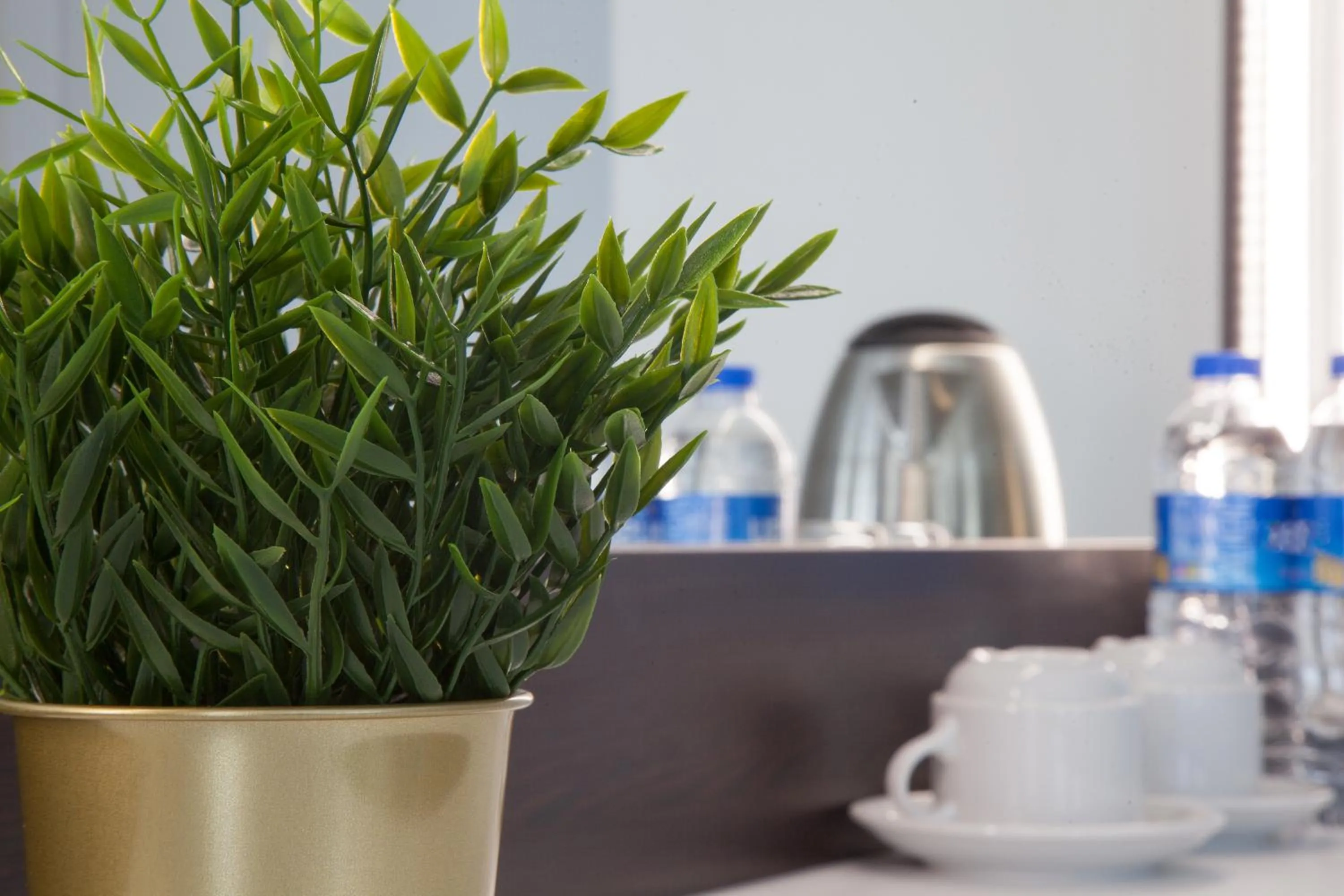 Restaurant/places to eat in Siete Hotel