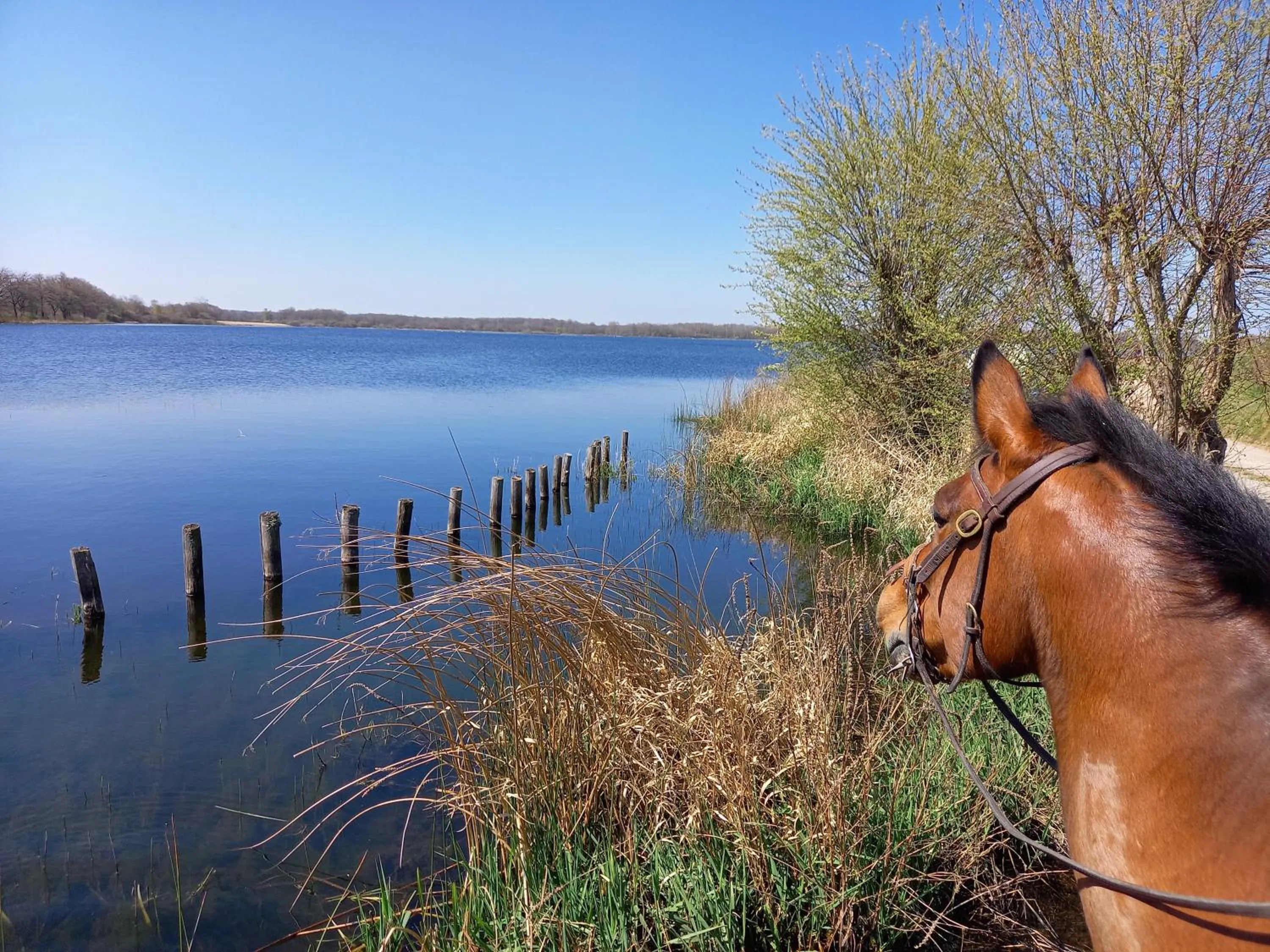 Natural landscape in La Maison de Fleurat