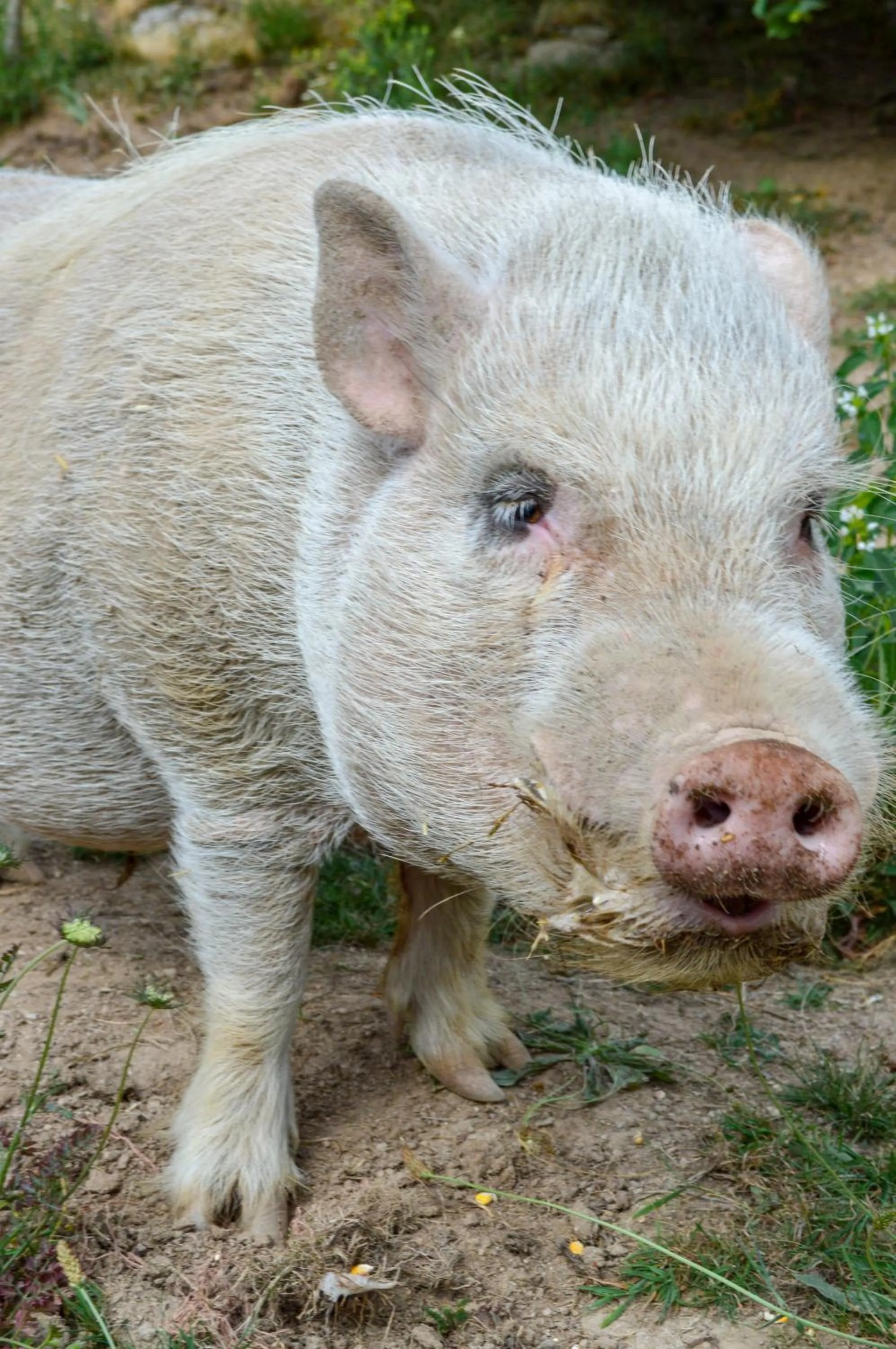 Activities in La Maison de Fleurat