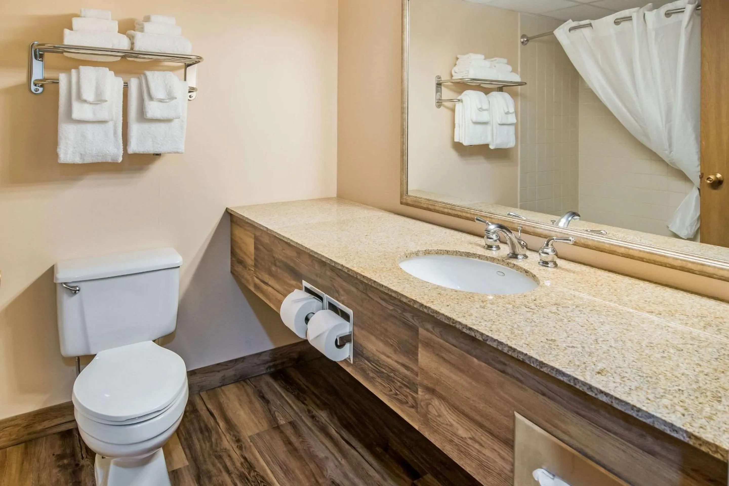 Bathroom in Quality Inn & Suites