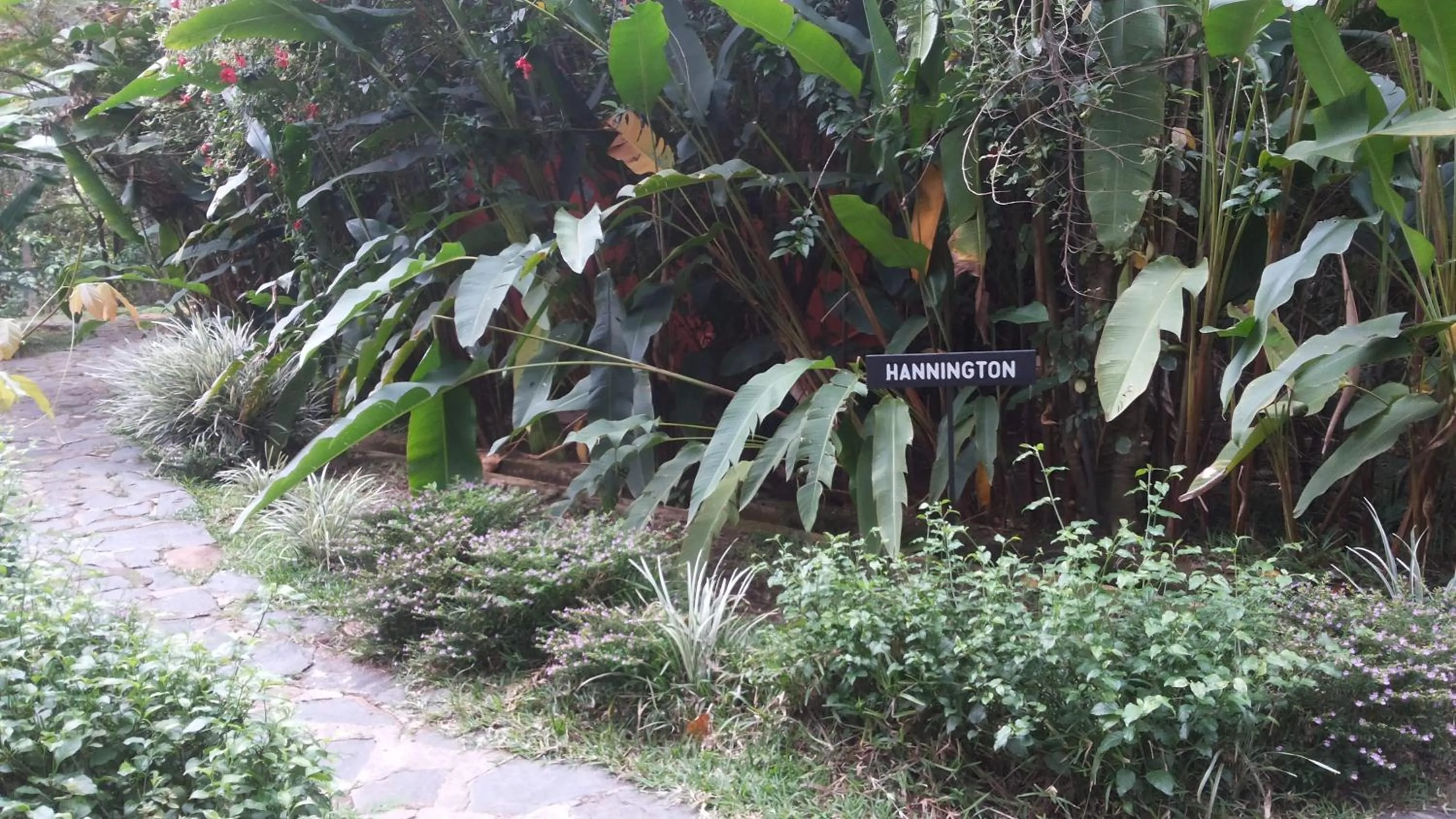 Patio in White Castle Hotel Arua